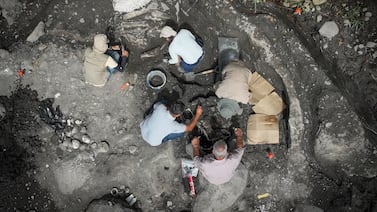 Descubren restos de mastodonte y perezoso gigante en Costa Rica