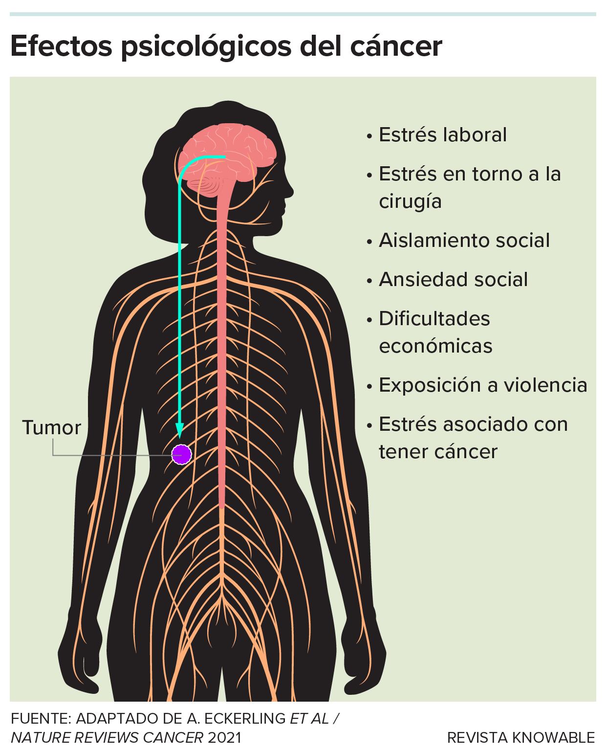 Un gráfico en el que aparece dibujado un cuerpo de mujer. Señala los efectos psicológicos del cáncer.