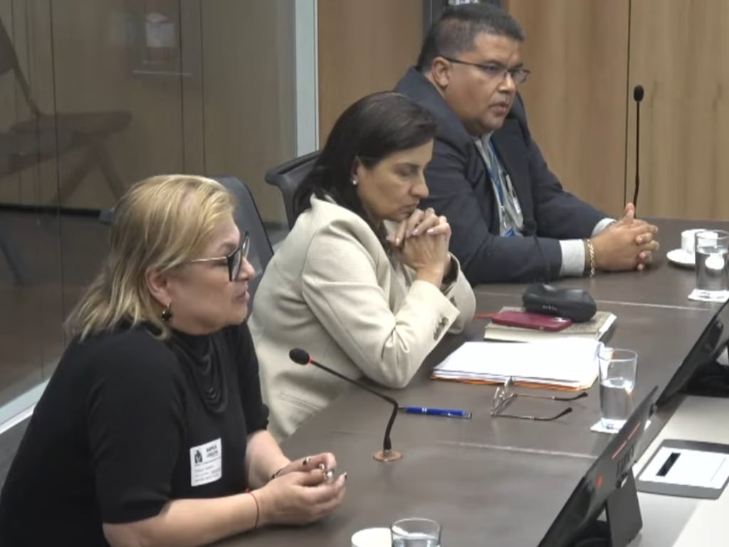 Martes 16 de abril 2024. Comparecencia Marta Esquivel comisión de asuntos sociales. Formación de Especialistas