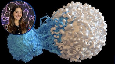 Usted puede diseñar la próxima cura: así funciona la biología sintética