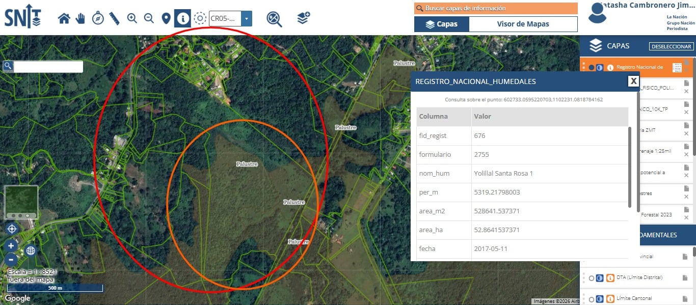 El círculo más grande en esta imagen corresponde a parte de la finca del desarrollador del Quantum AI Free Zone Campus en Limón. El círculo más pequeño encierra la zona donde hay un humedal palustre y pantano arbolado conforme verificaciones de Setena y registros en el Sistema Nacional de Información Territorial (SNIT), del Instituto Geográfico Nacional (IGN).