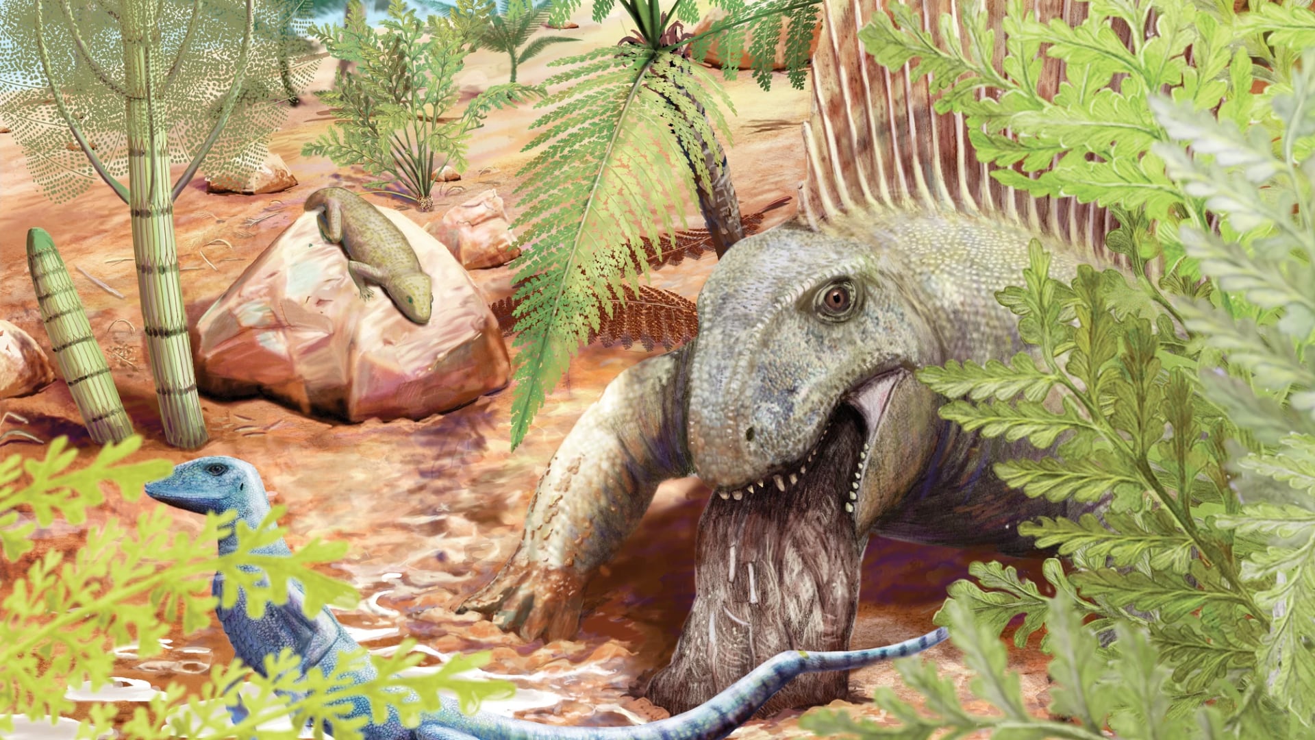 Fósil hallado en Alemania muestra qué comía un depredador sinápsido millones de años antes de los dinosaurios.