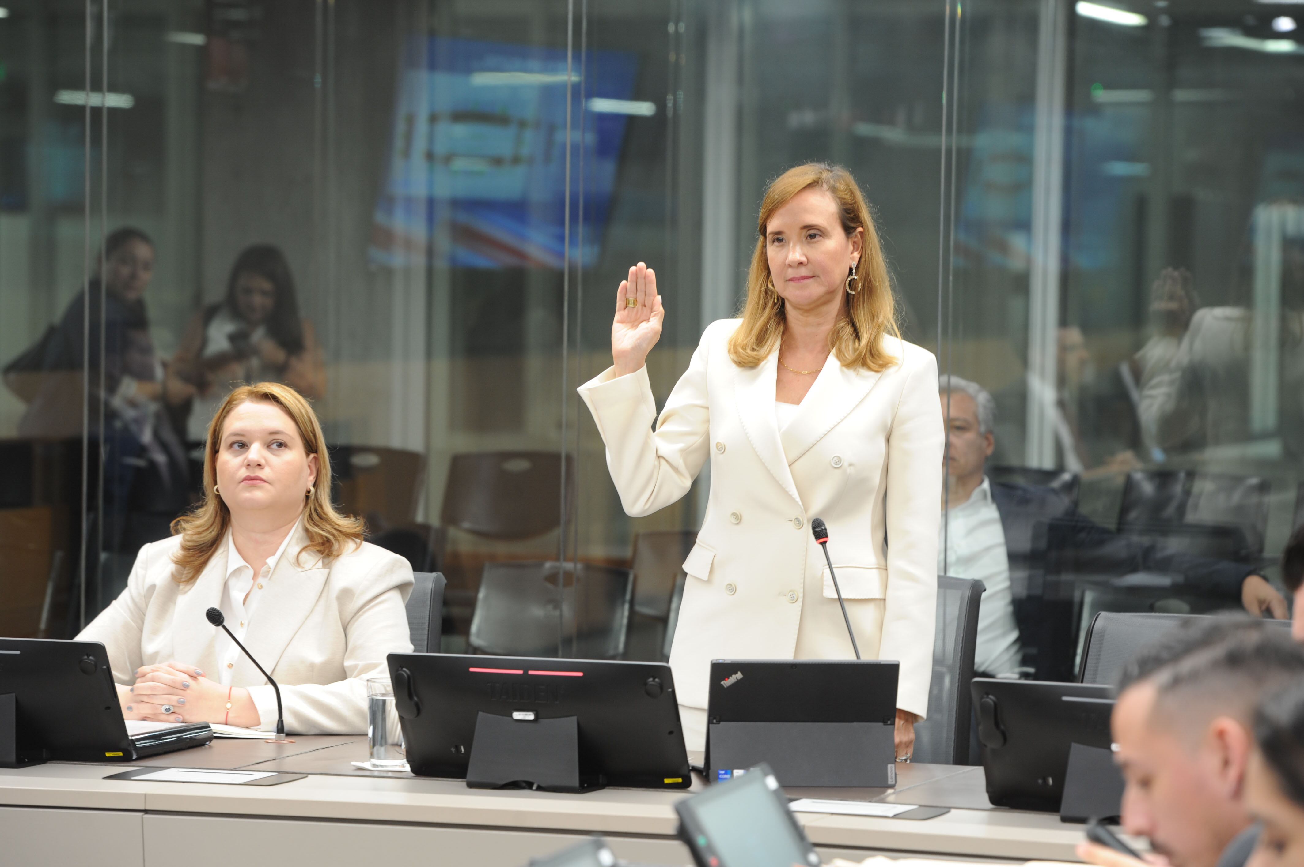 03/06/2024, Asamblea Legislativa, Sala de Comisión con potestad legislativa plena I, COMISIÓN SINART, comparece Sra Gisela Sánchez Maroto Presidenta Ejecutiva del Banco Centroamericano de Integración Económica (BCIE).