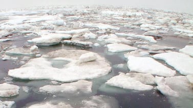 Derretimiento de plataformas de hielo de Groenlandia representa un riesgo ‘dramático’
