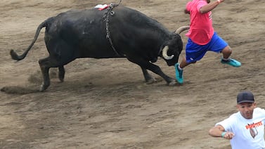 Fiestas de Zapote: Cruz Roja atendió 100 personas, ¿cuáles fueron las emergencias más comunes?