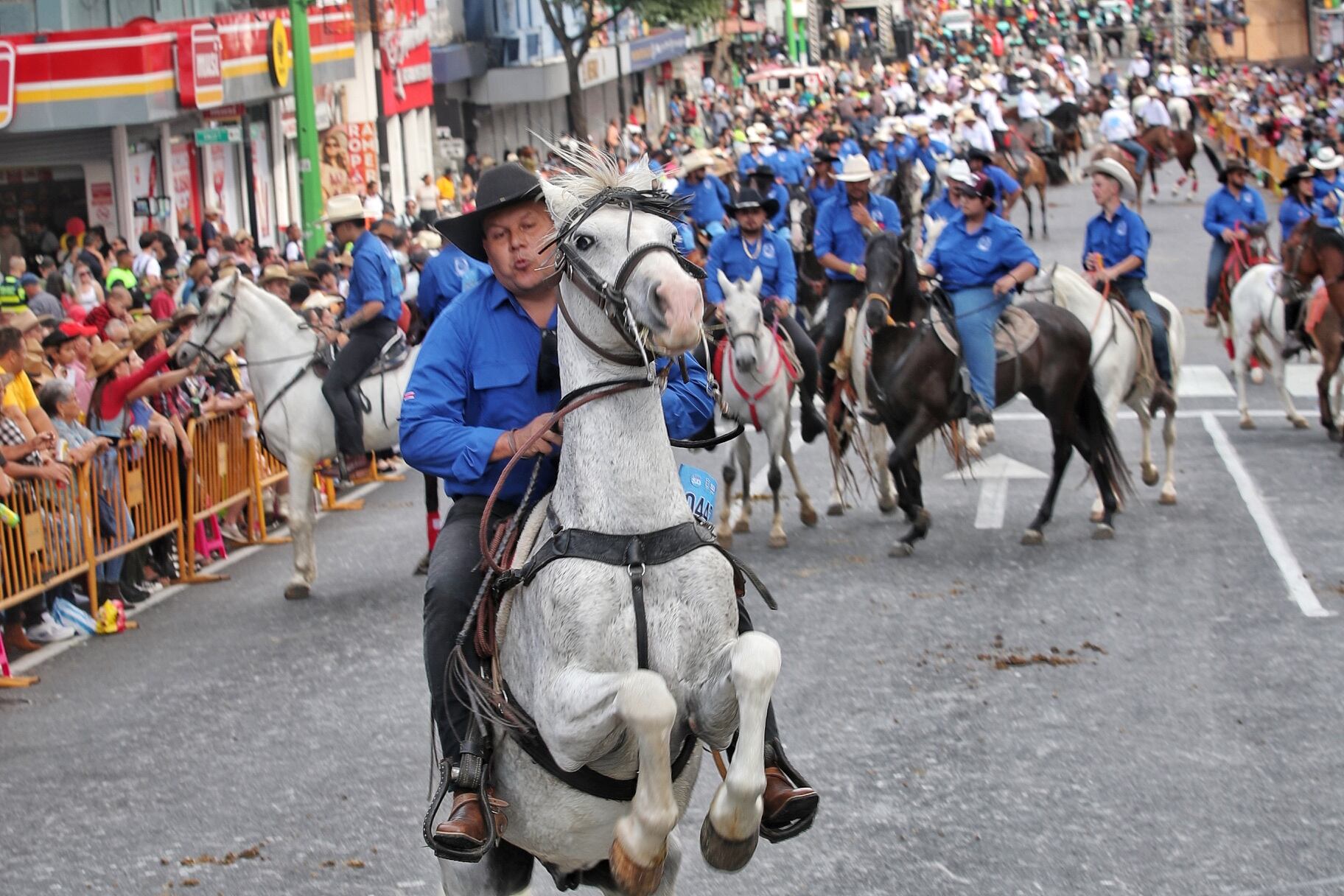 Imágenes del Tope Nacional que se realizó este 26 de diciembre del 2024 en las principales calles de Montes de Oca. En las imágenes se ve a caballos y caballistas, así como manifestantes en contra del maltrato animal y bailarinas típicas en la actividad.