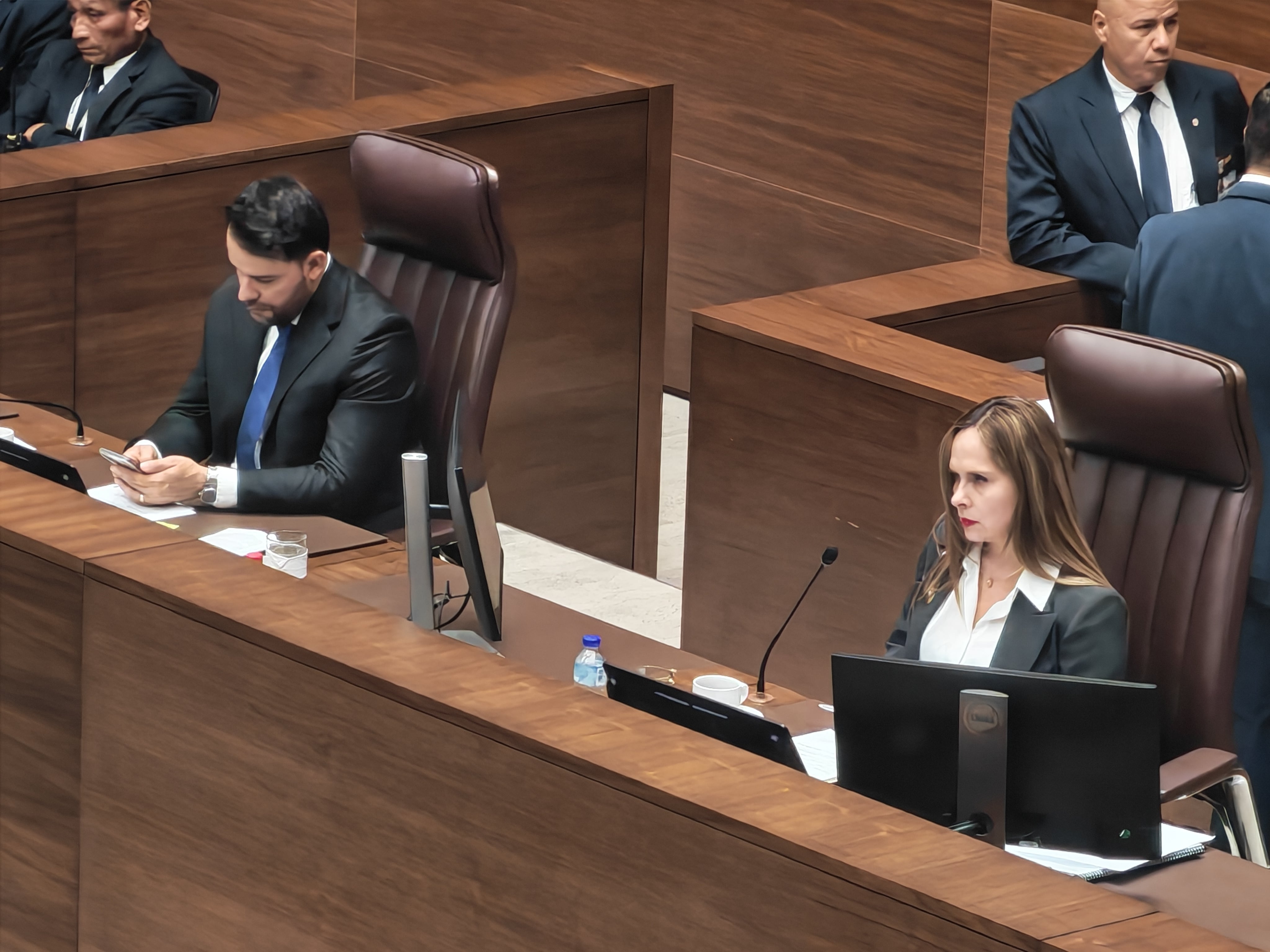 diputados plenario asamblea lobby