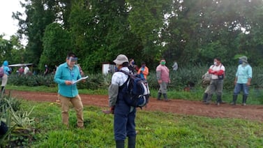 Gobierno propone rebaja de $30 para ingreso de trabajadores agrícolas extranjeros