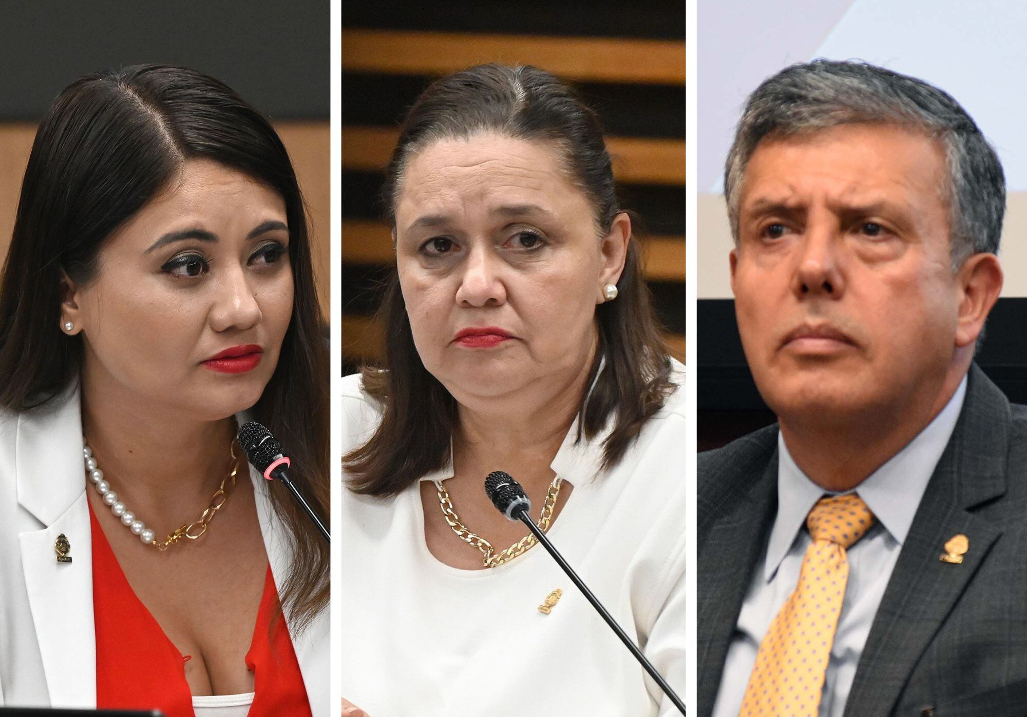 Las diputadas Melina Ajoy y Vanessa Castro, del PUSC, asumirán la presidencia de las comisiones plenas I y II, respectivamente; mientras que Oscar Izquierdo, del PLN, encabezará la Plena III.