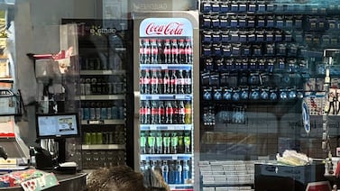 Jabalí irrumpe en una tienda en Alemania: el ingenioso plan para sacarlo sin usar anestesia