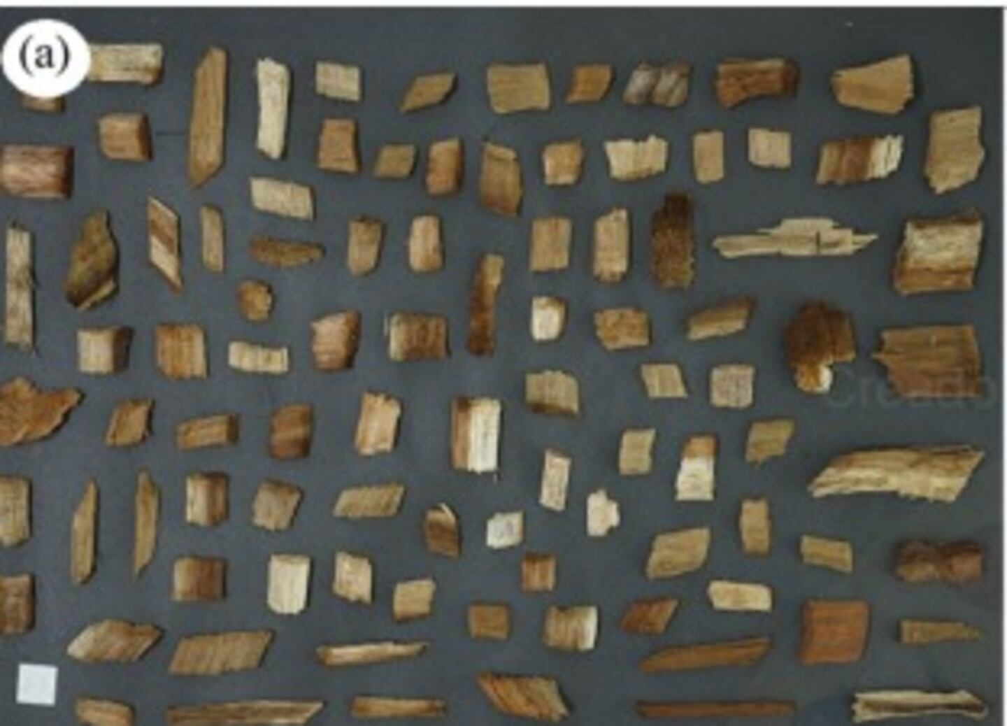 ¿Cómo puede la madera generar electricidad? Les preguntamos a los científicos que lo lograron | La Nación