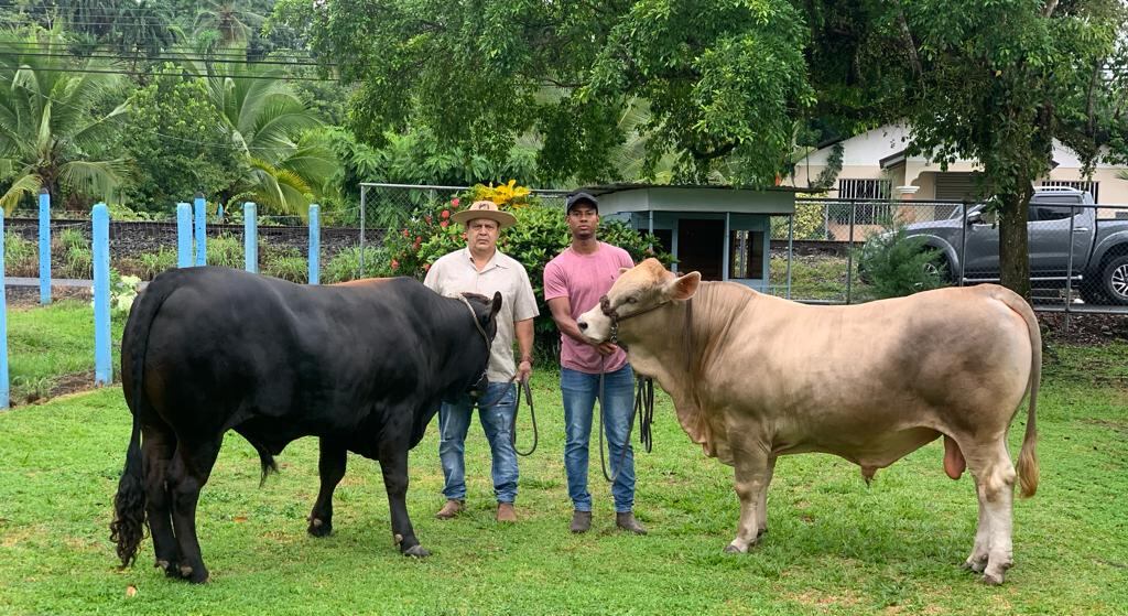 Josimar Méndez Cartaginés