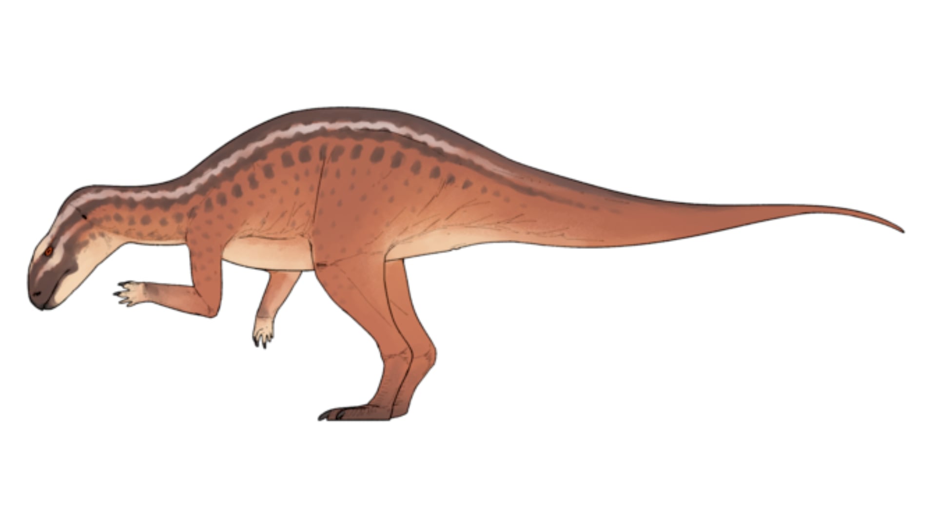 Reconstrucción especulativa de la vida de 'Foskeia pelendonum', incluyendo un cráneo típico de estilo rabdodontomorfo.