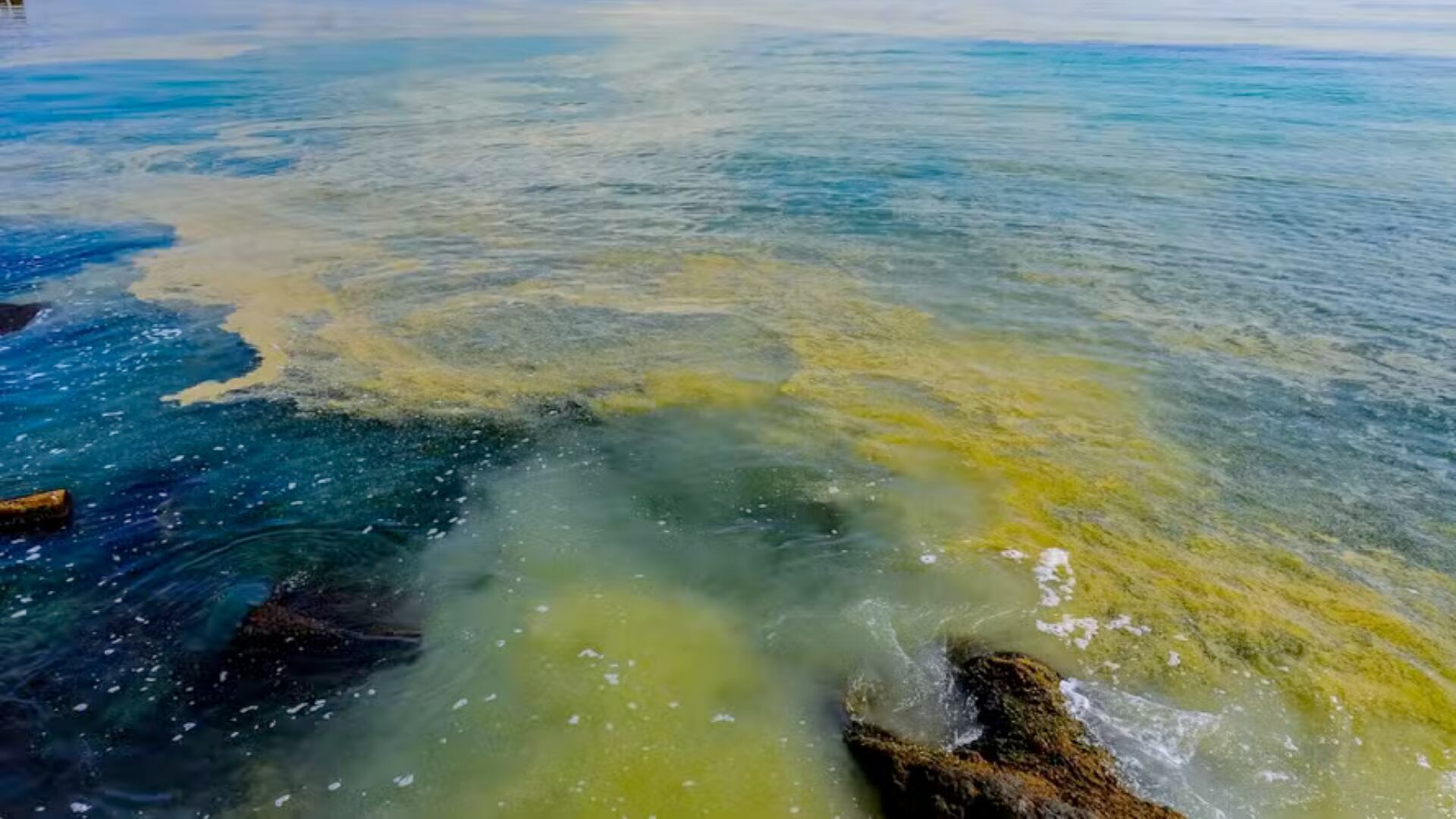 La presión humana sobre los océanos crecerá hasta 2,6 veces para 2050 y podría afectar la vida marina y a millones de personas.