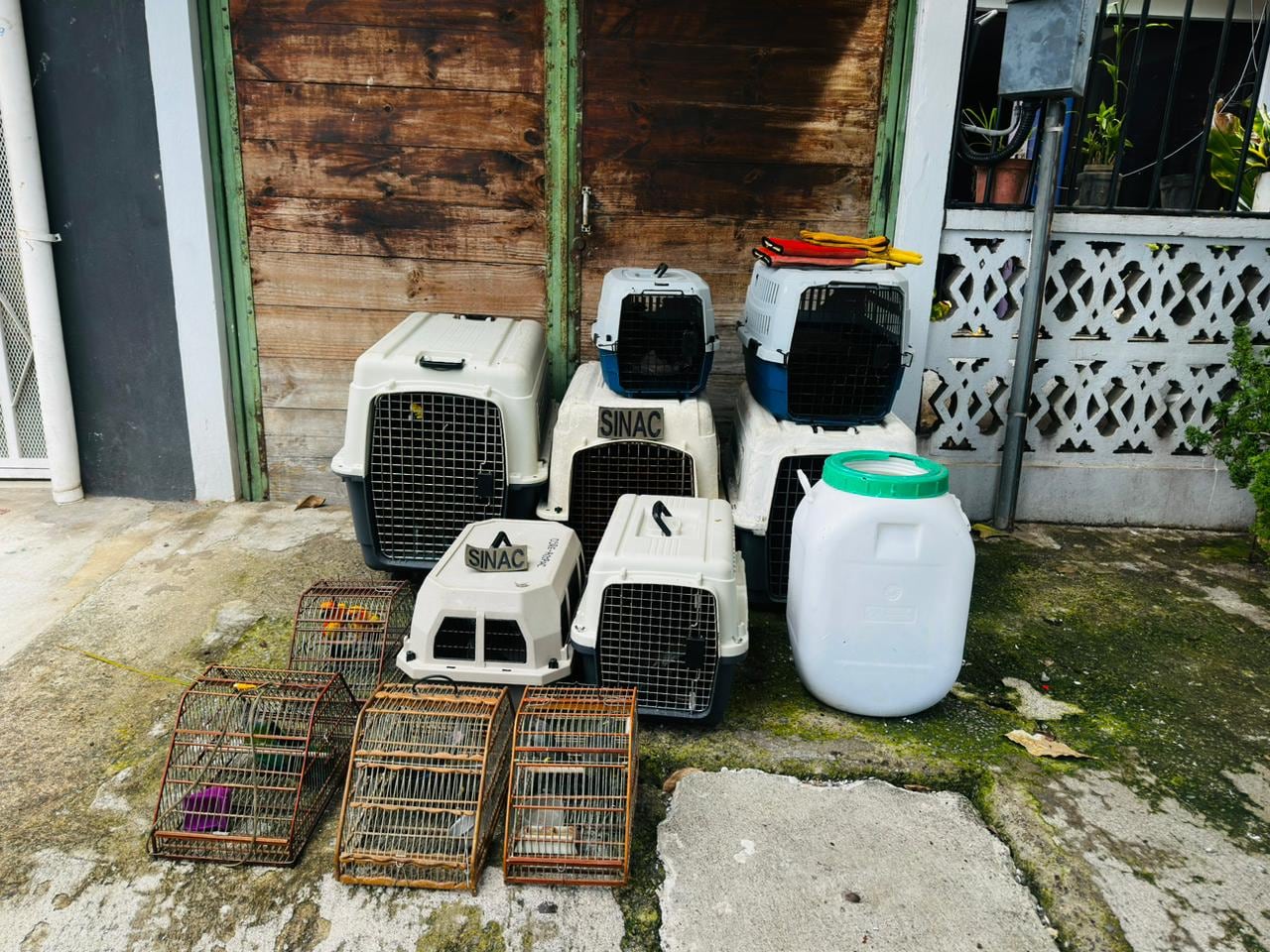 Minae decomiso de animales