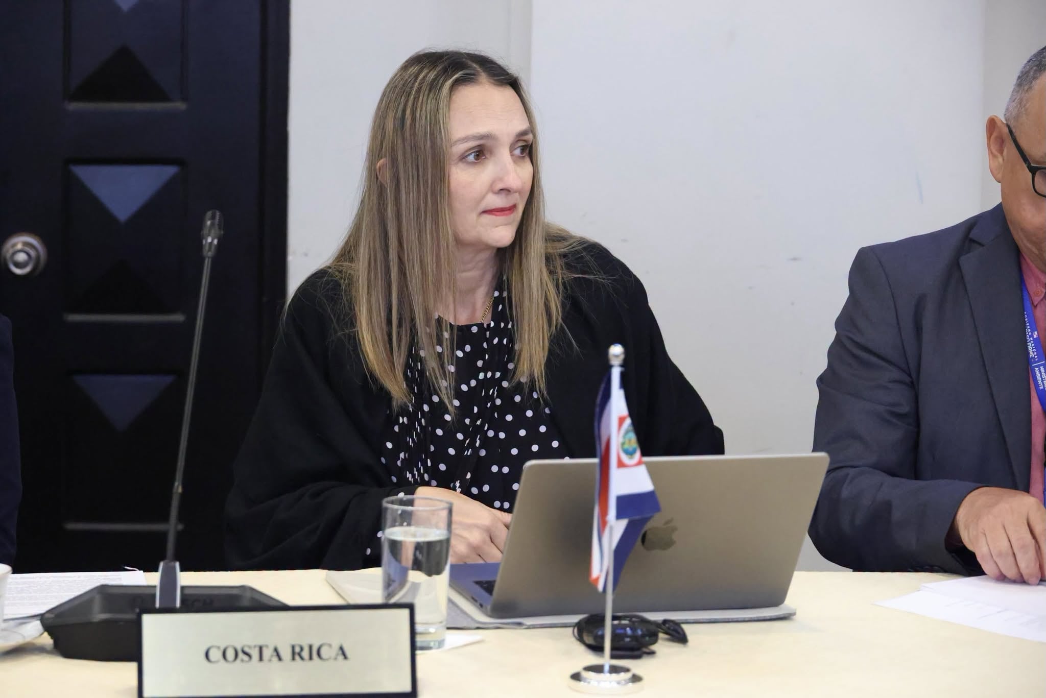 Mónica Navarro del Valle, ministra de Ambiente y Energía, deberá realizar en un plazo máximo de dos meses las gestiones para designar a los integrantes del Consejo Científico de Cambio Climático, ordenó la Sala IV.