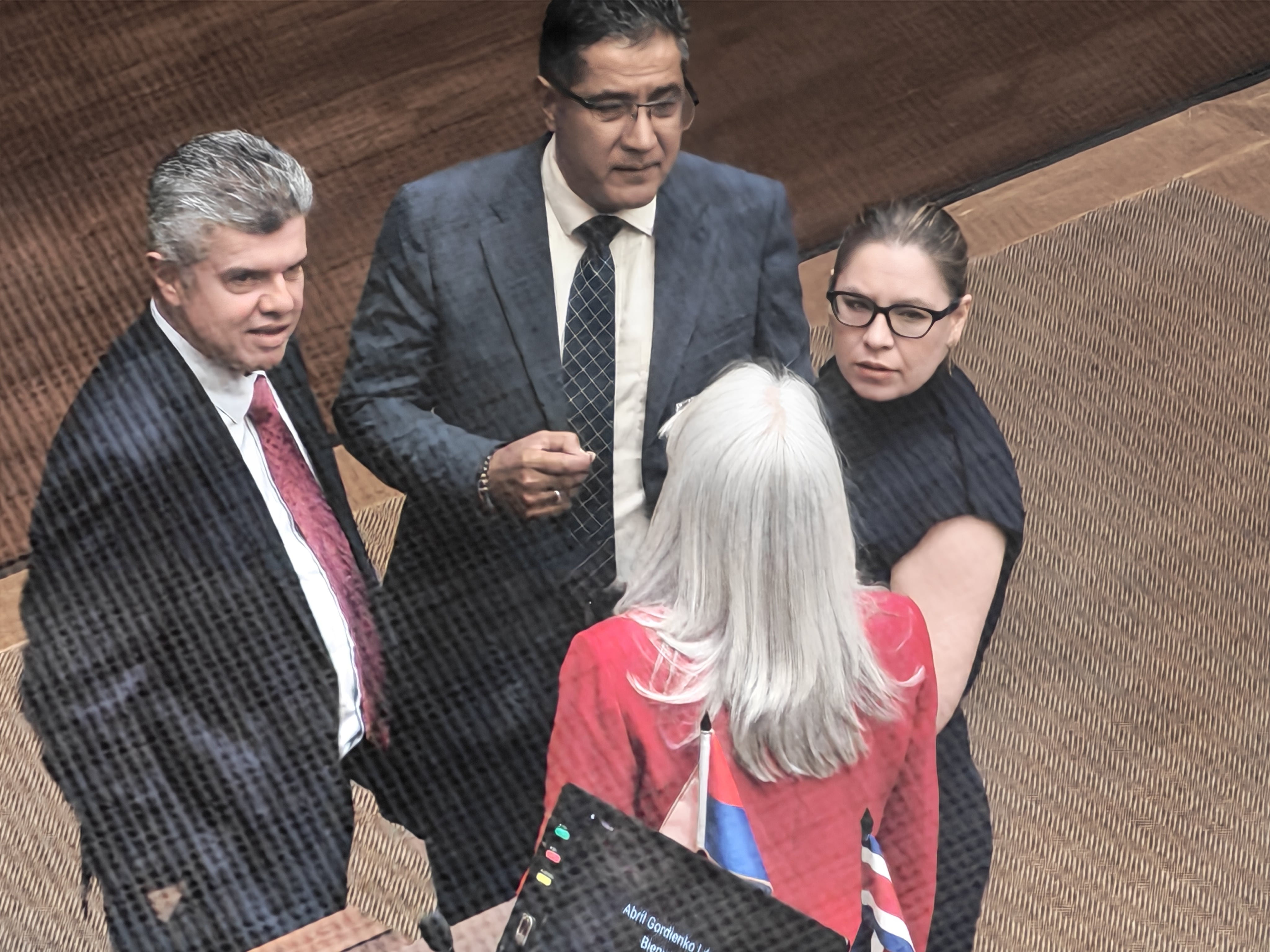 Plenario, diputados, Congreso, Asamblea Legislativa