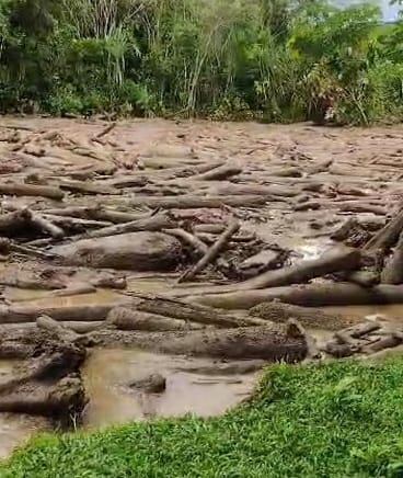 En Concepción de La Palmera, San Carlos, los troncos forman una presa cuya intervención exige gran cuidado por parte de los expertos. Foto: Edgar Chinchilla.