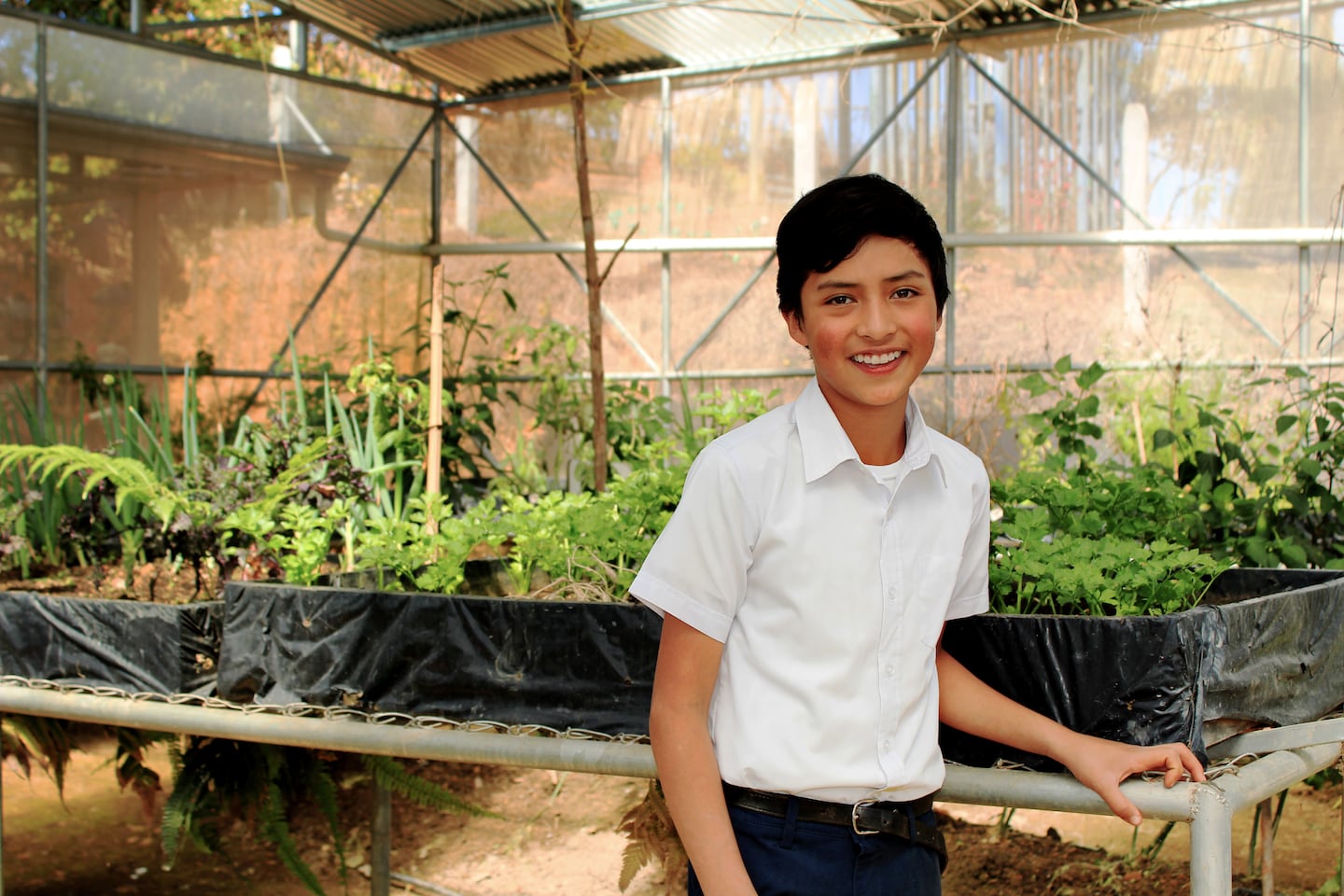 Proyecto impulsa convertir huertas escolares en laboratorios vivos | La Nación