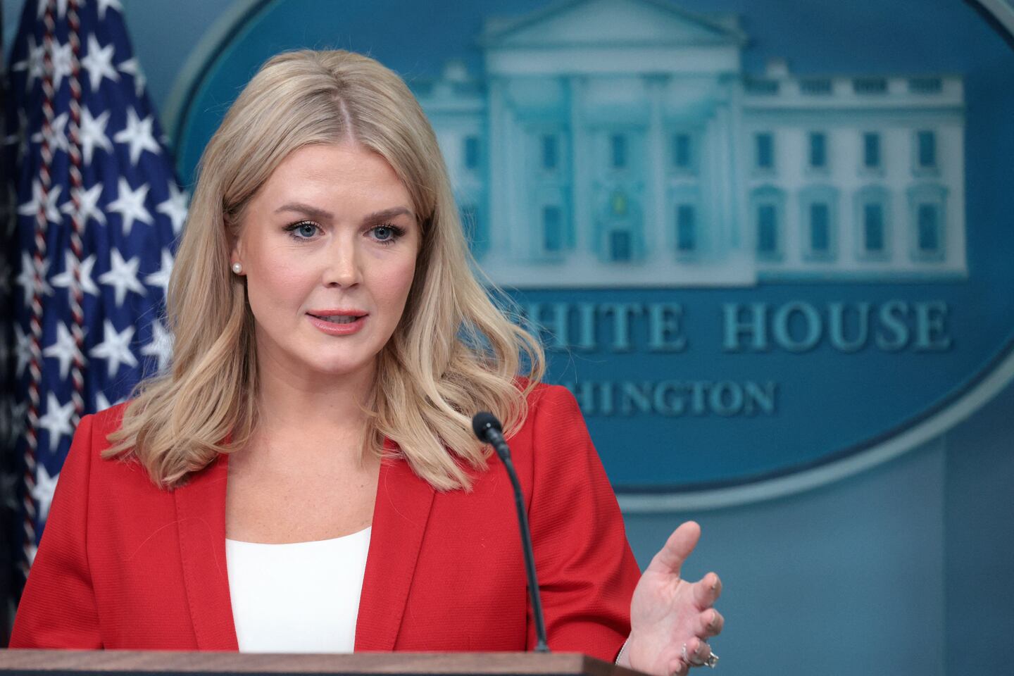 WASHINGTON, DC - FEBRUARY 25: White House Press Secretary Karoline Leavitt speaks during the daily White House press briefing at the James Brady Press Briefing Room of the White House on February 25, 2025 in Washington, DC. Leavitt held a news bri