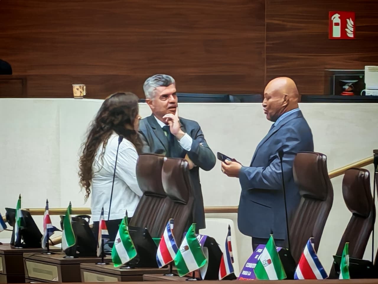 Diputados PLN