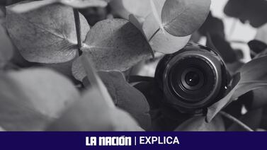 Cámaras ocultas: ¿Pueden los comercios grabar audio y video con dispositivos escondidos dentro de sus locales?