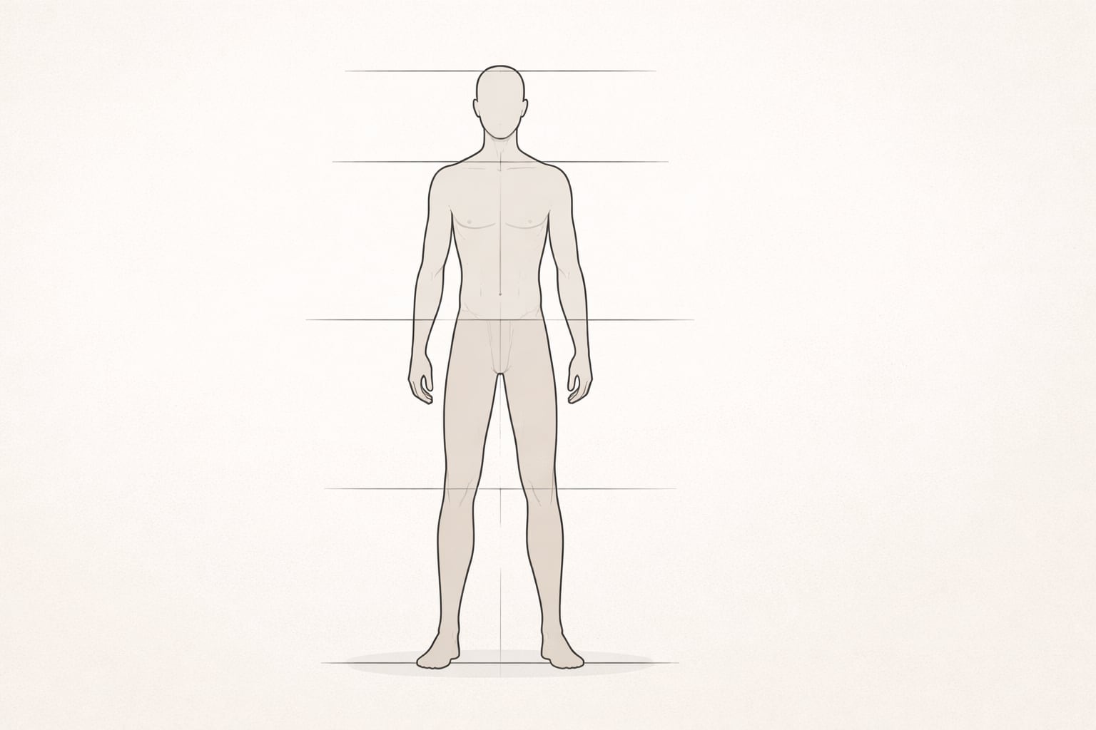 La investigación plantea que el tamaño del pene humano evolucionó como un rasgo visible que influyó más en la atracción de pareja que en la intimidación.