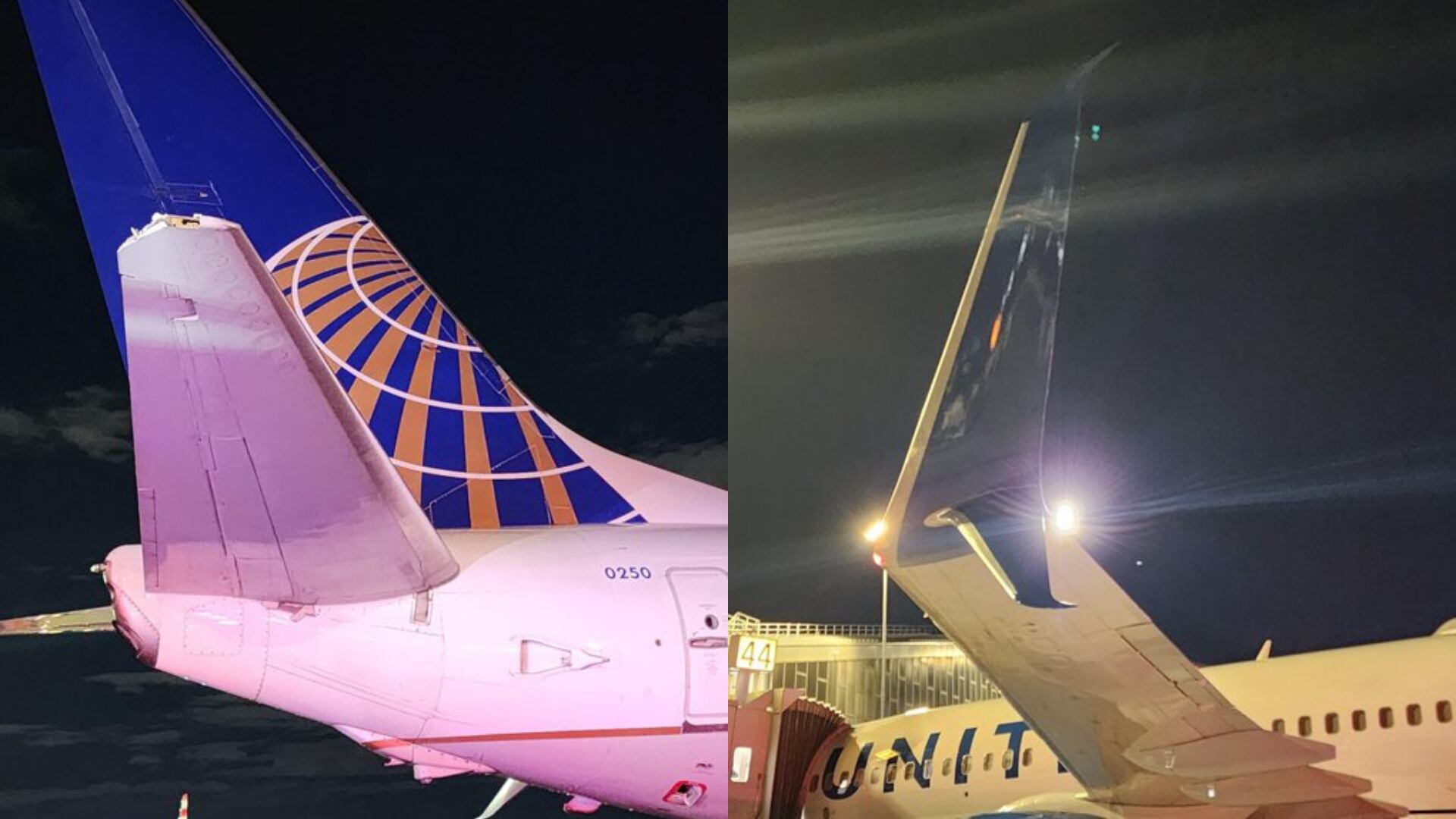 Tras el choque, ambos aviones regresaron a la puerta de embarque y los pasajeros desembarcaron con normalidad.