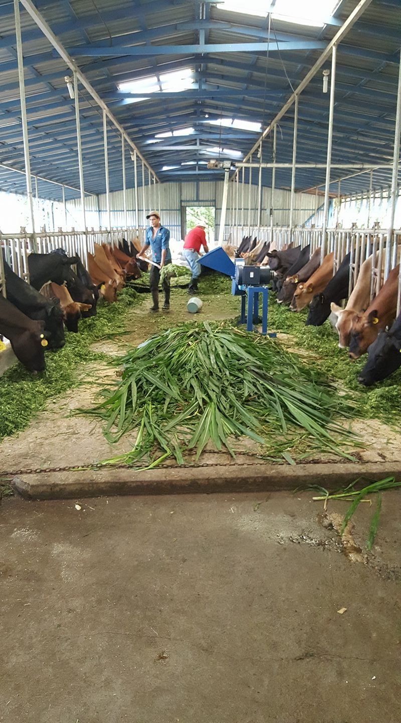 Naira Araya es una hija de tigre