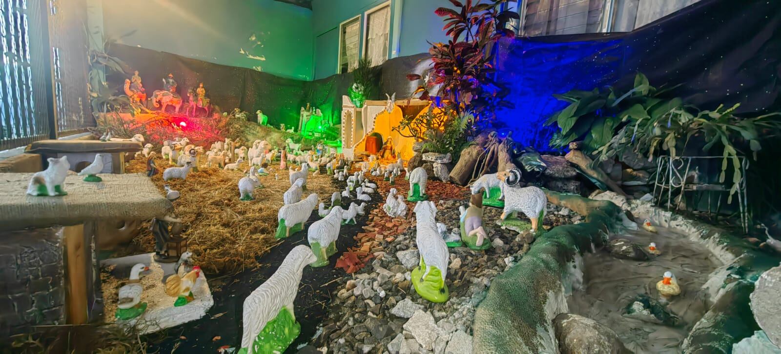 Se observa el portal con ovejas, un riachuelo con patos y al fondo los reyes magos. También se ven plantas.