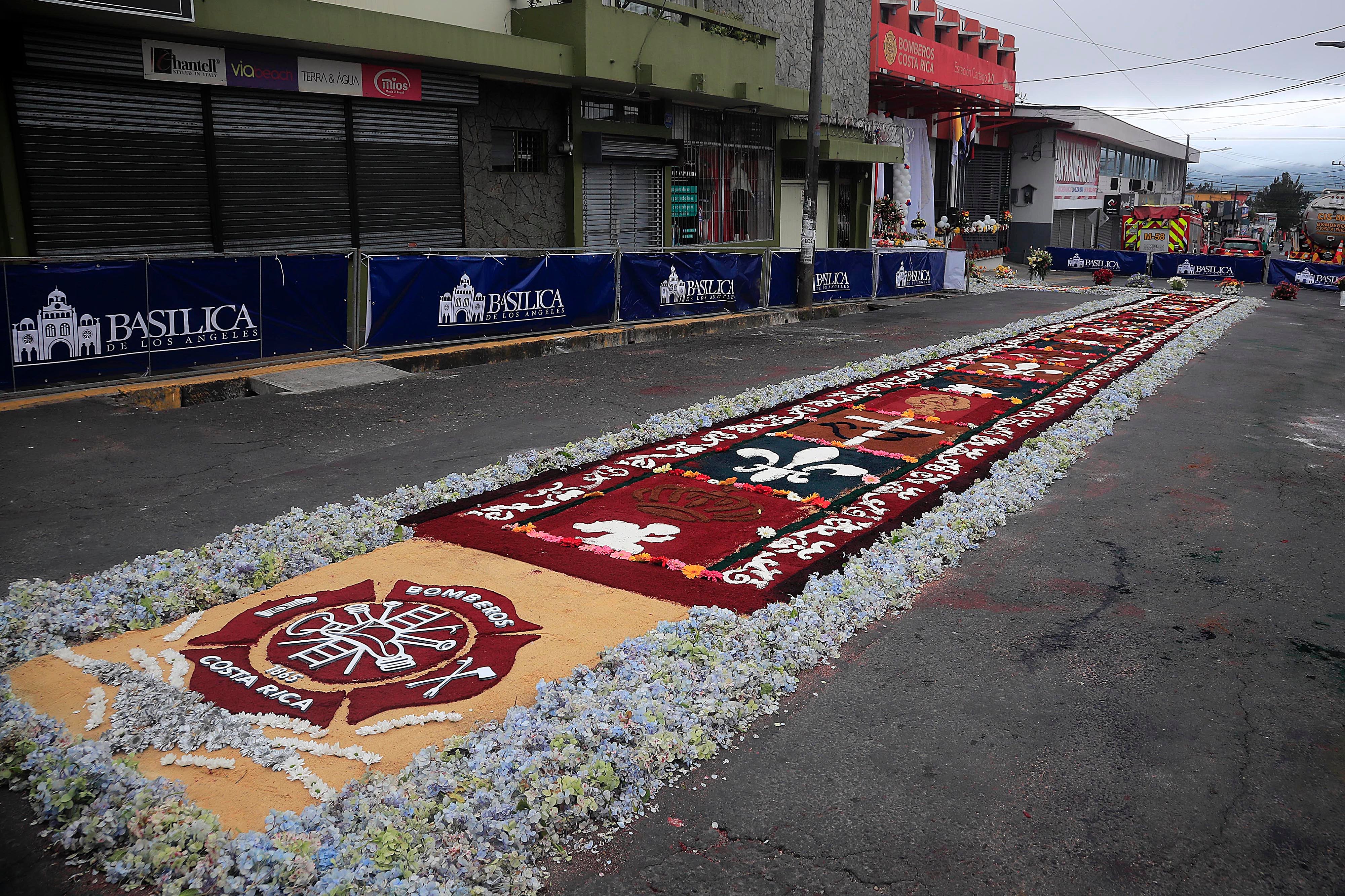 03/09/2023 Cartago. Desde la media noche, decenas de personas de diferentes comunidades de la provincia empezaron a elaborar las coloridas y espectaculares alfombras para formar una sola de poco más de kilómetro y medio, por donde transitó la imagen de la Virgen de los Angeles en su retorno a la Basílica. Aserrín y broza del café coloreados, cal y flores, especialmente rosas, entre otros, dieron forma al manto multicolor para dirigir los pasos de quienes acompañaron a La Negrita en la tradicional Pasada de regreso al Santuario Nacional tras permanecer un mes exacto en la Catedral de Nuestra Señora del Carmen.
