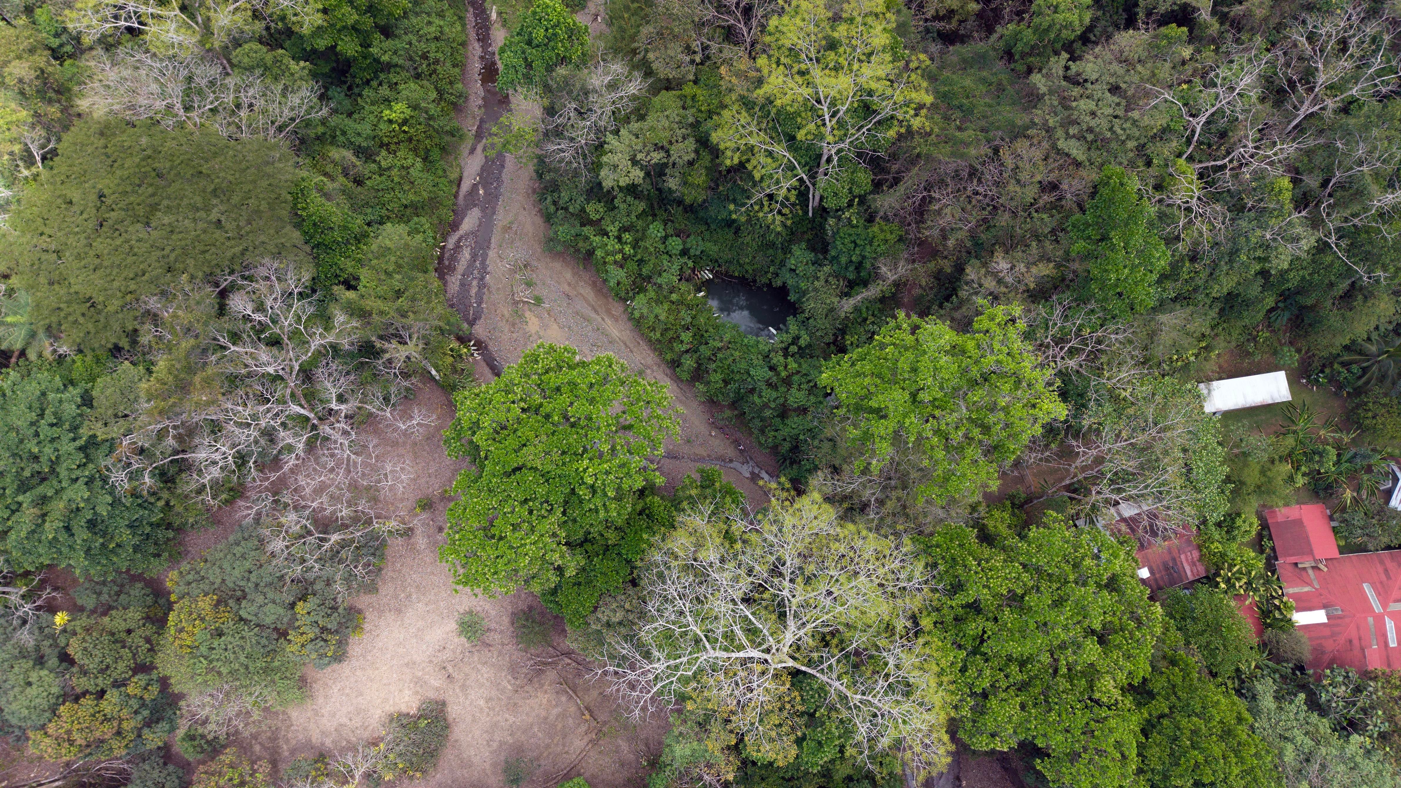 Pueblo Nuevo ( La Mona )