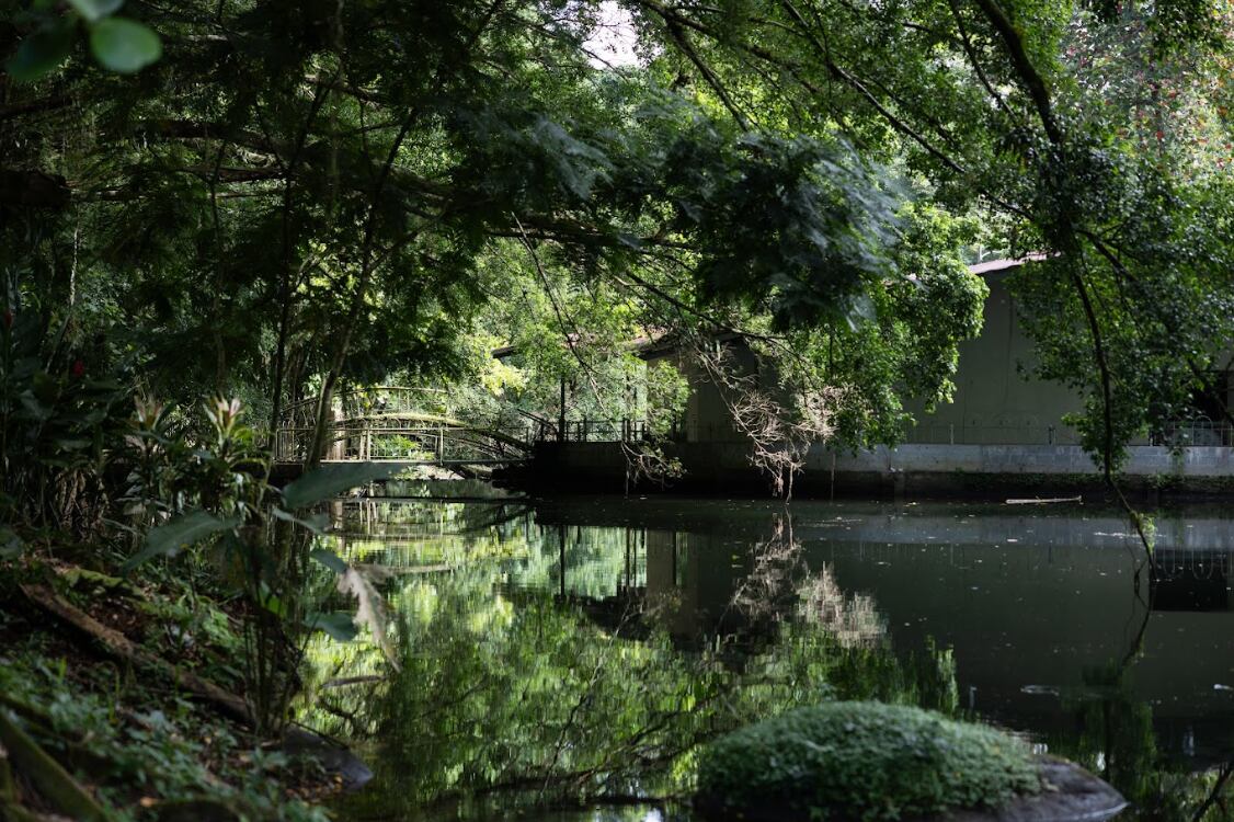 Guadamuz, de 20 años, principal sospechoso de asesinar a Geiner Zamora, habría arrojado pertenencias en este lago que rodea un bar abandonado, a pocos metros del restaurante El Rubio.