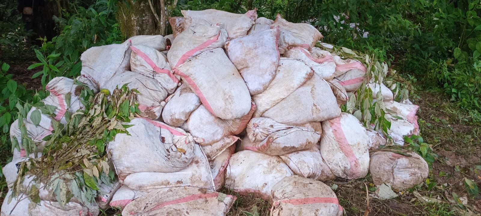 1.200 sacos con material minero fue decomisado por la Policía en el cerro Conchuditas en Crucitas de Cutris, San Carlos.