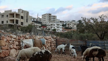 Secretario General de la ONU exige a Israel detener la ‘anexión progresiva’ de Cisjordania por violencia