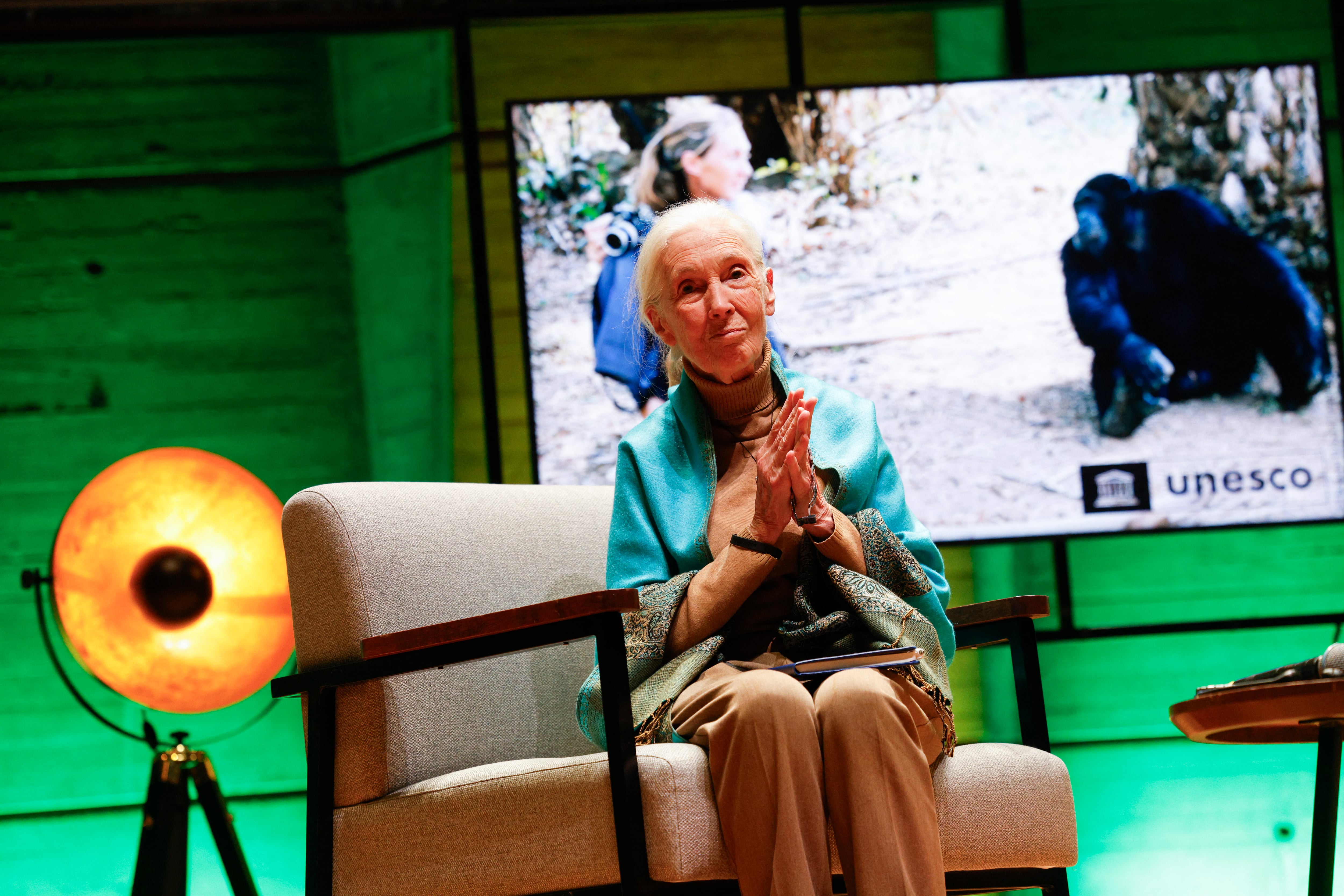 La zoóloga y primatóloga británica Jane Goodall saluda a la audiencia antes de dar una conferencia en la Casa de la UNESCO en París el 19 de octubre de 2024. Ella fue reconocida como una especialista en primates.