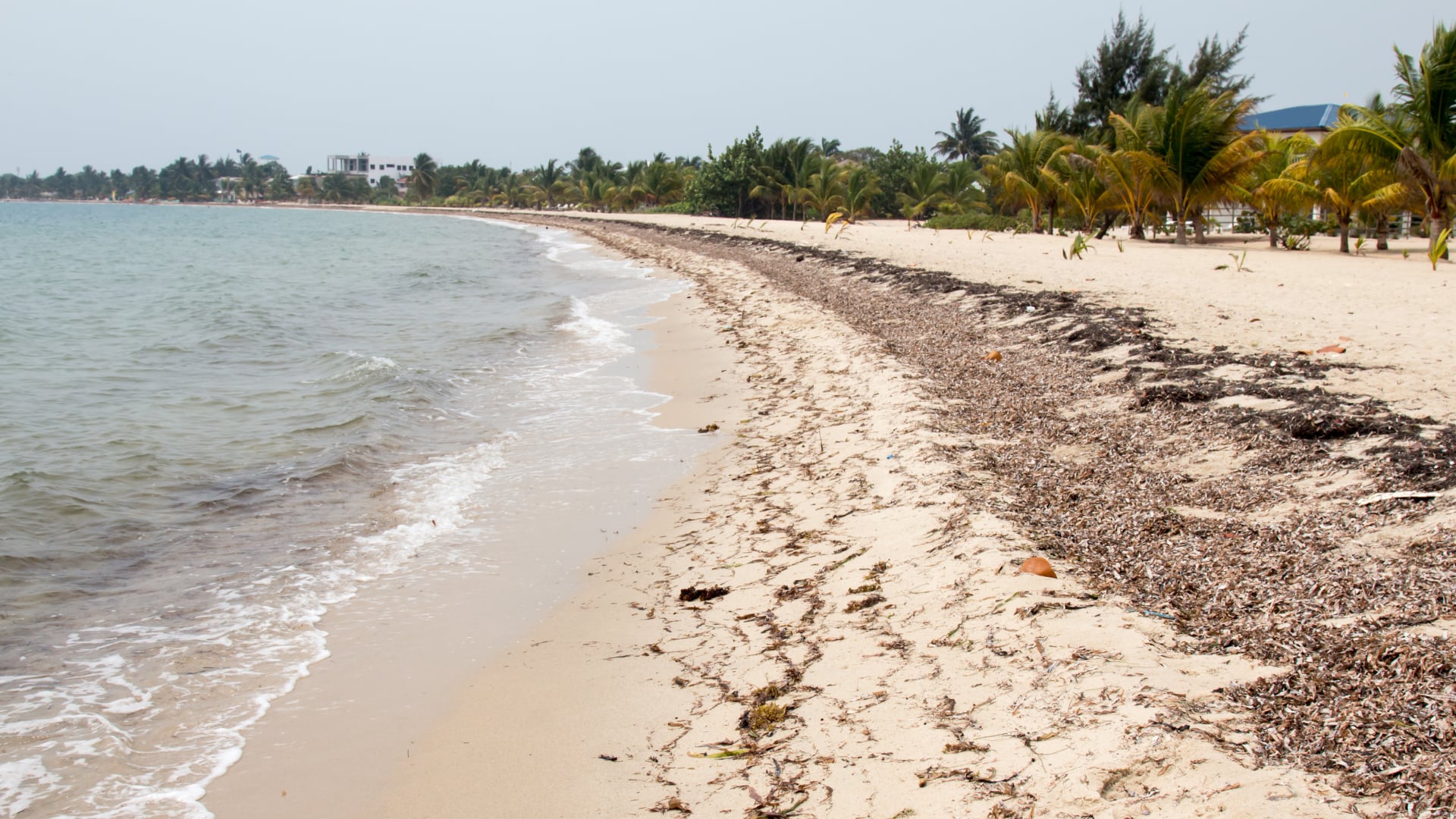 Placencia Beach en Belice combina ambiente caribeño, acceso al segundo arrecife más grande del mundo y cultura local en un entorno relajado.