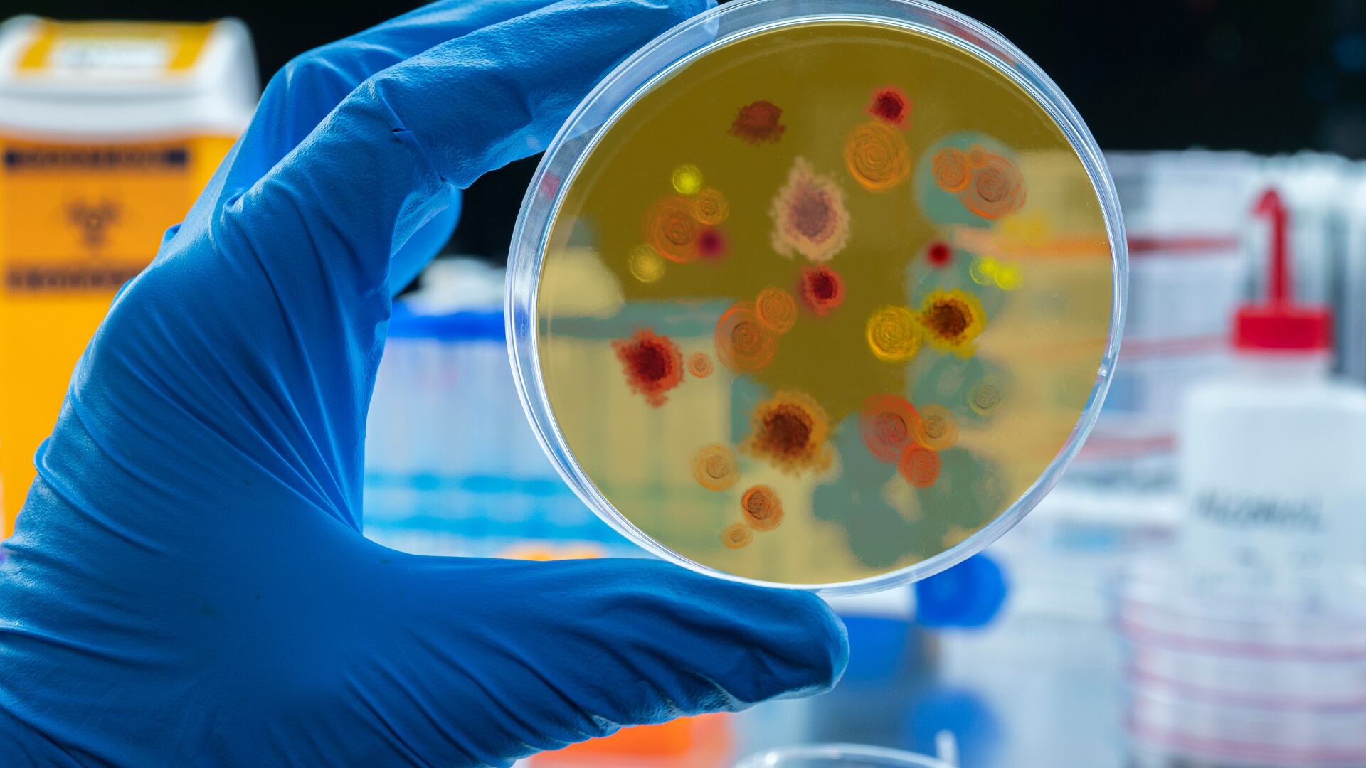 A diferencia del dengue o el oropouche, la malaria sí tiene tratamiento específico, y atenderse a tiempo evita complicaciones graves.