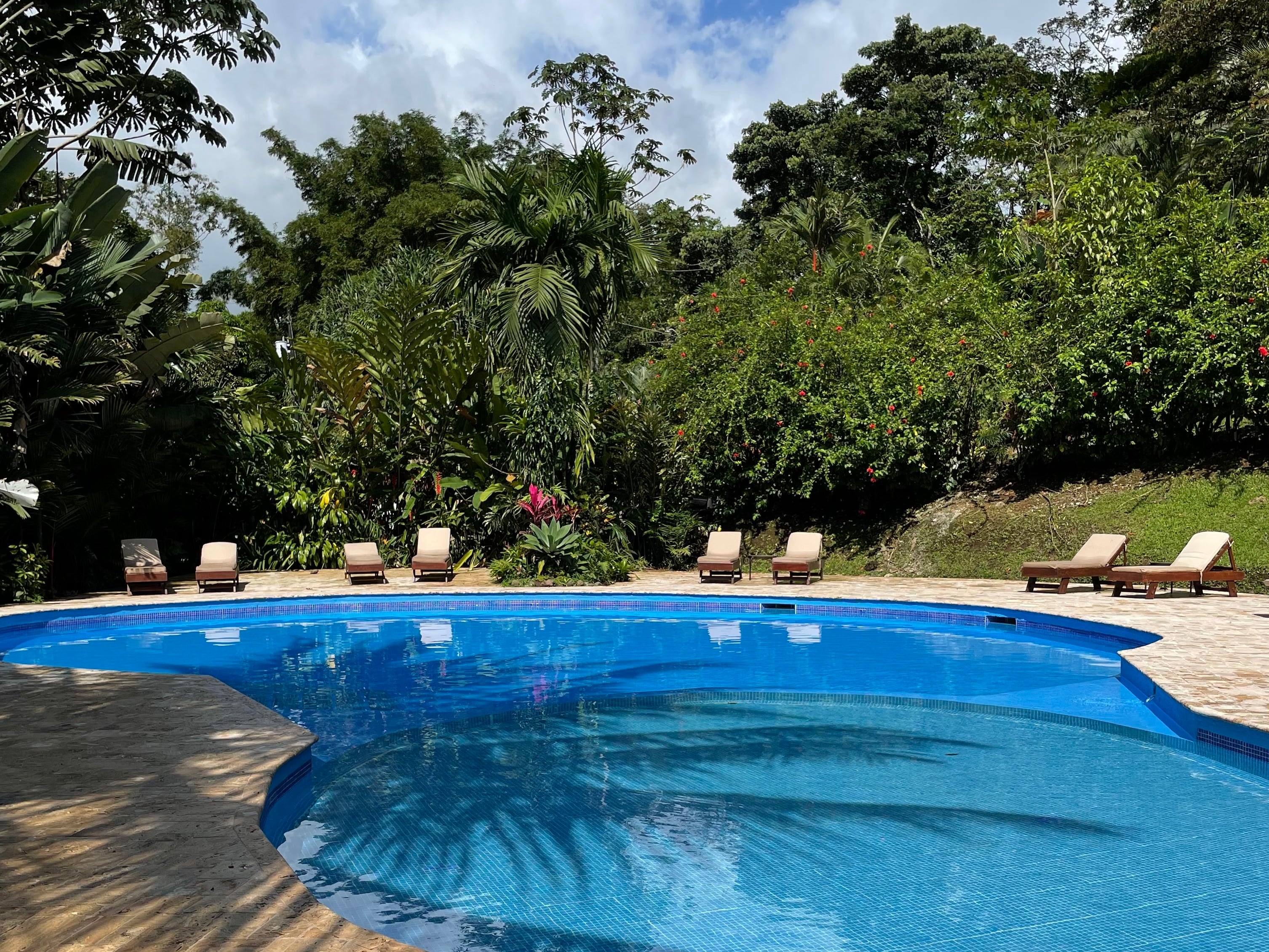 Chachagua Rainforest Hotel & Hot Springs
