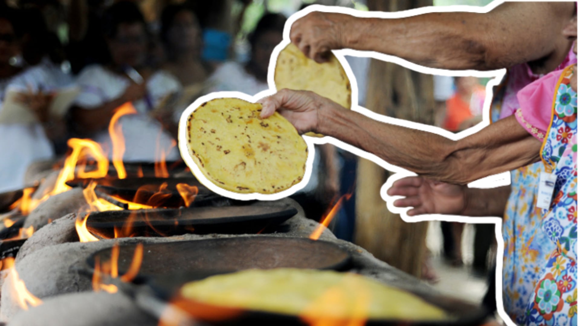 Las tortillas de maíz forman parte de la alimentación cotidiana en Nicoya, una de las zonas azules del mundo, reconocida por la longevidad de sus habitantes.