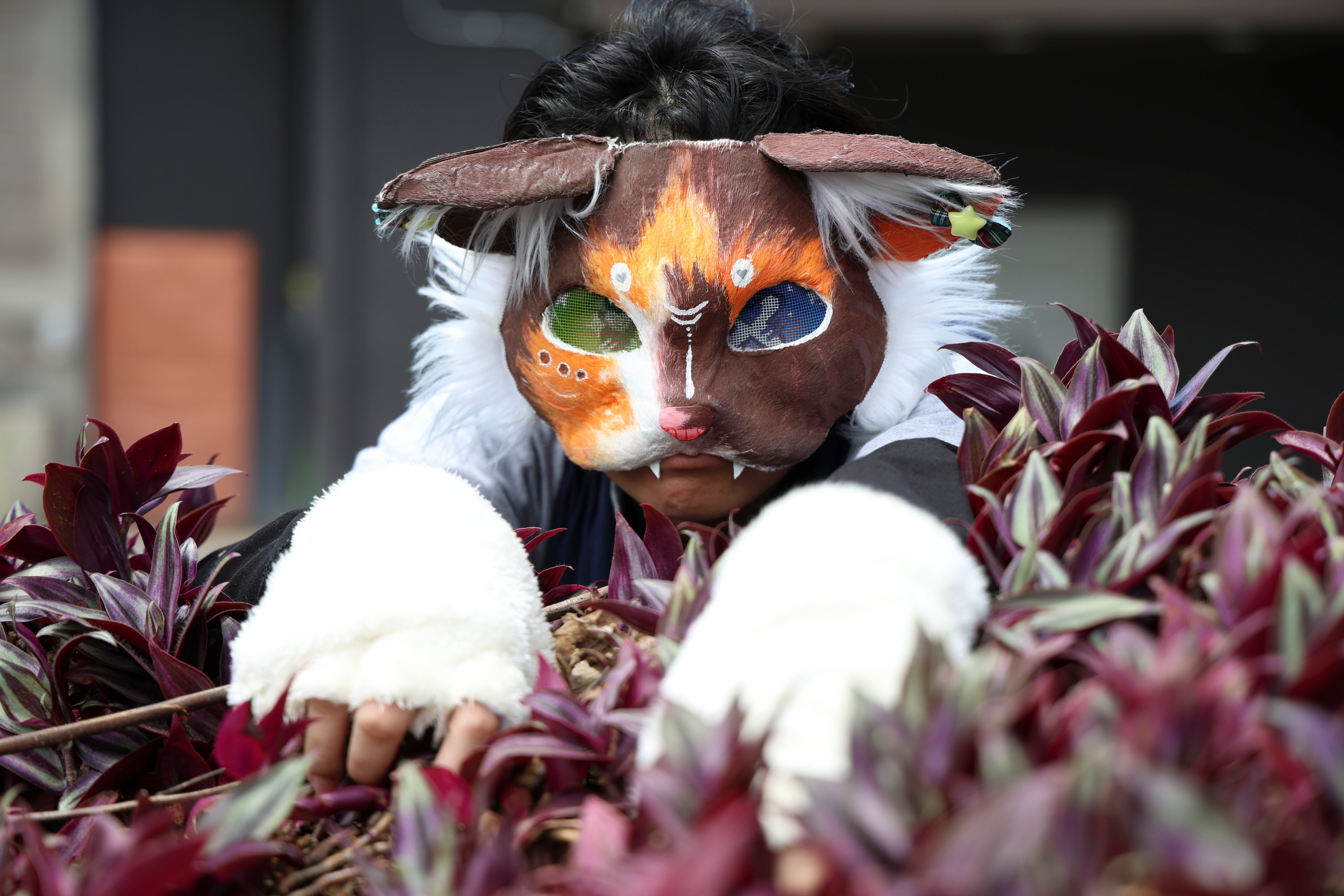 23/02/2026 Tibás Grupo Nación, retratos April, joven costarricense Therian.
