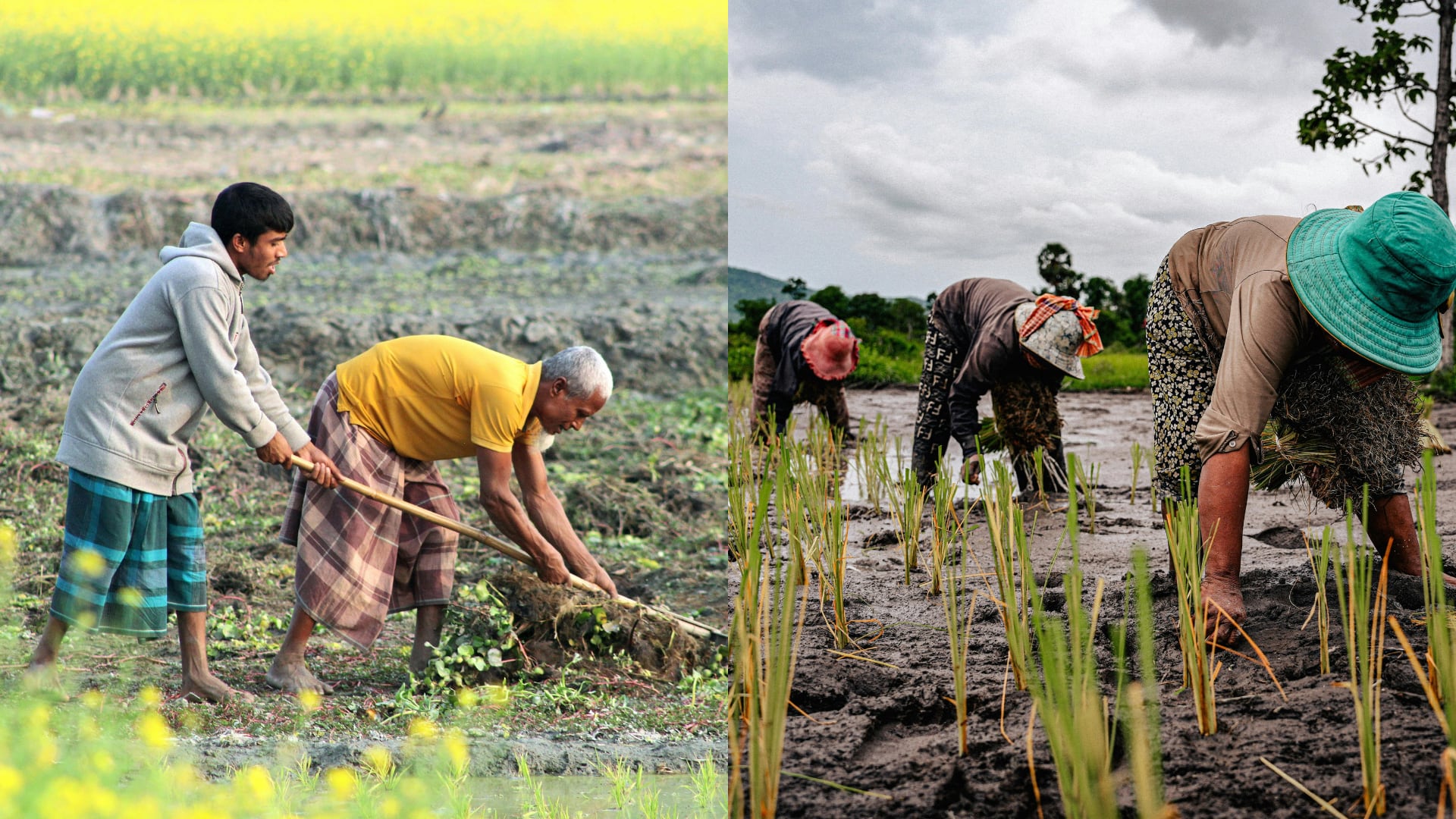 Análisis masivo de ADN antiguo en Eurasia Occidental demuestra que la selección natural moldeó a los humanos modernos más rápido de lo que se creía.