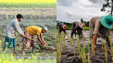 Estudio de ADN antiguo revela aceleración en la evolución humana tras el inicio de la agricultura