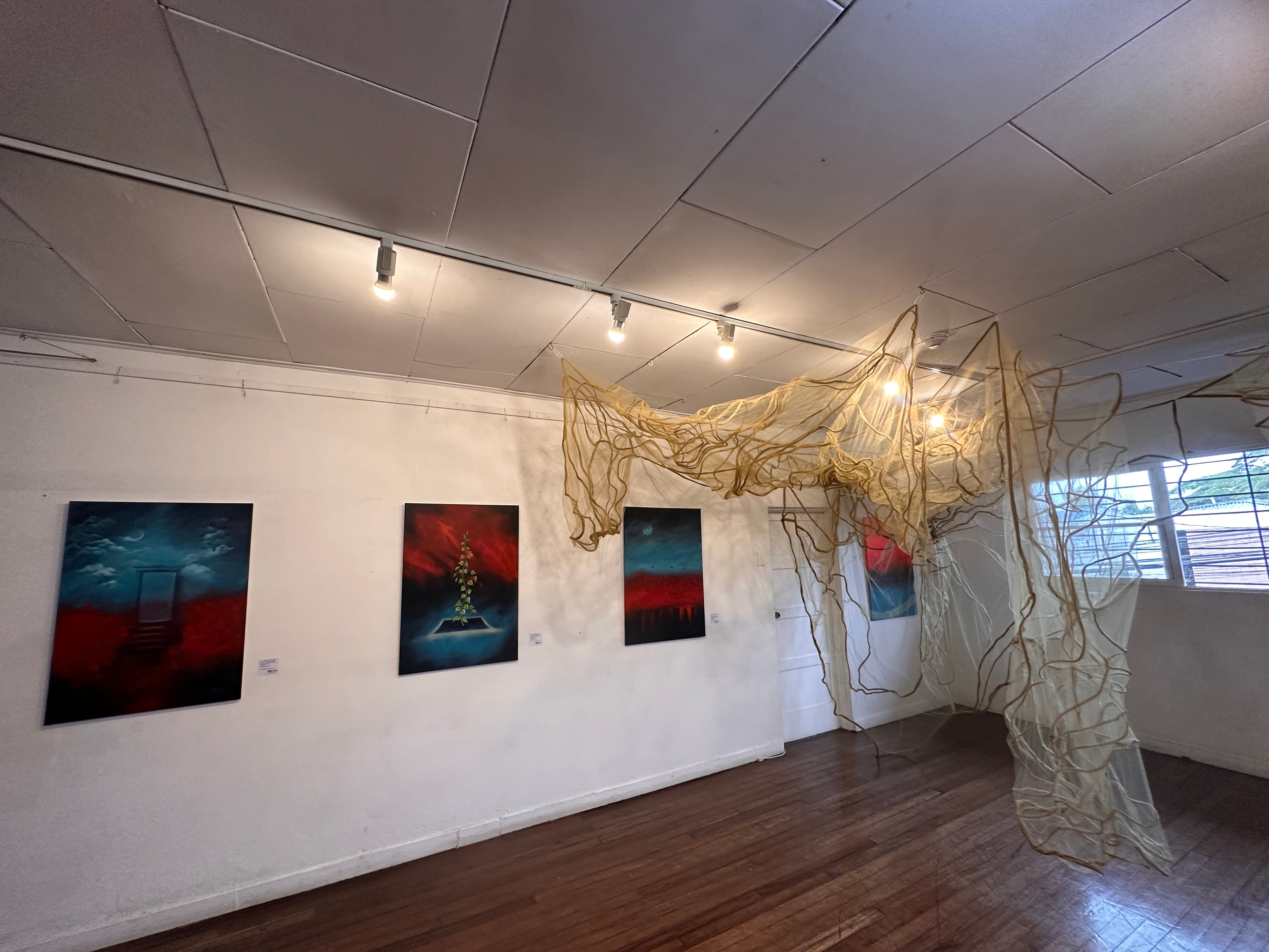 Exposición de Rocío Ajún y Luisa Valerín en la Casa de la Cultura José Figueres Ferrer, en barrio Escalante, San José.