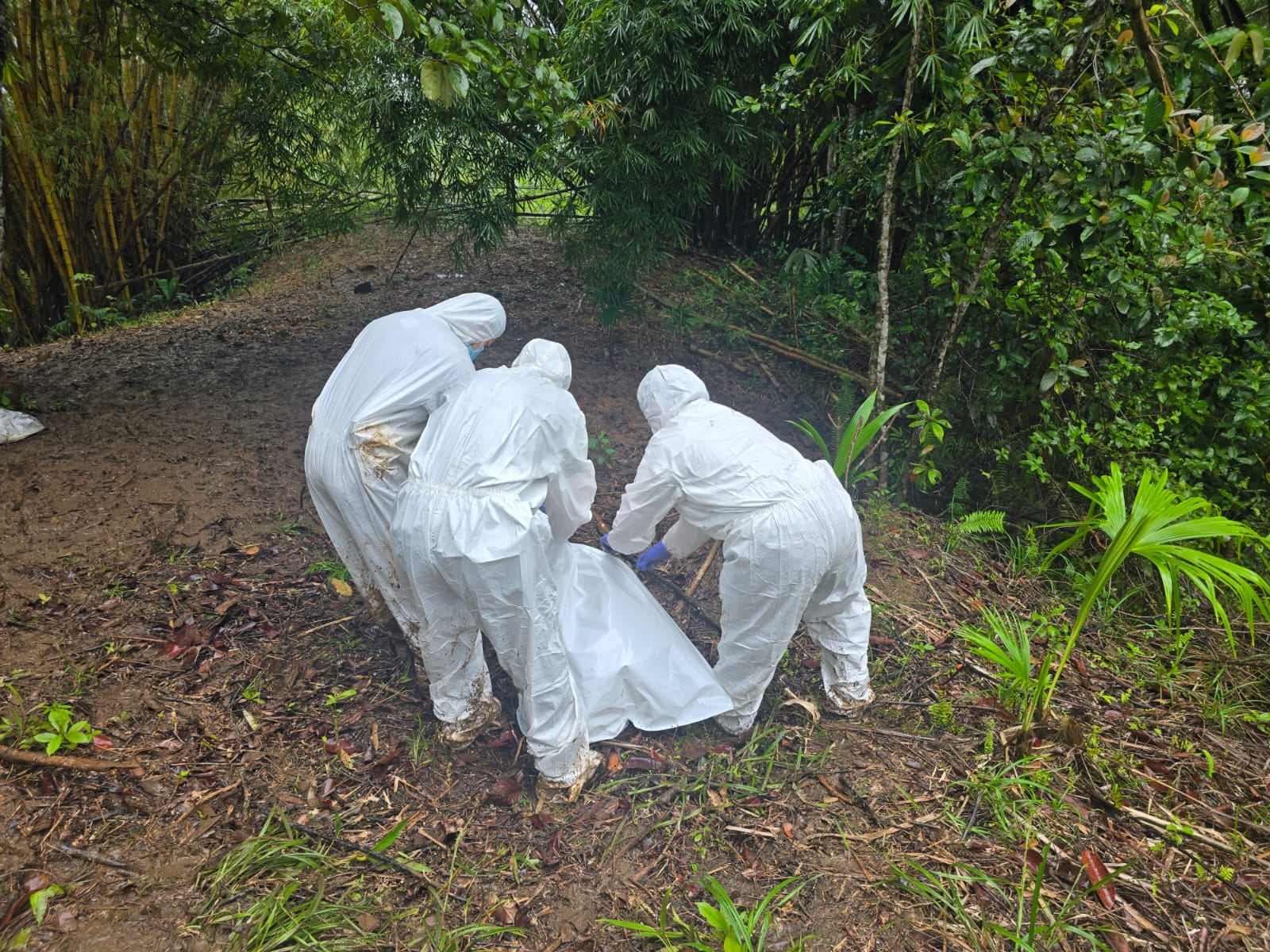 OIJ levantamiento del cuerpo en Pacuare, Limón