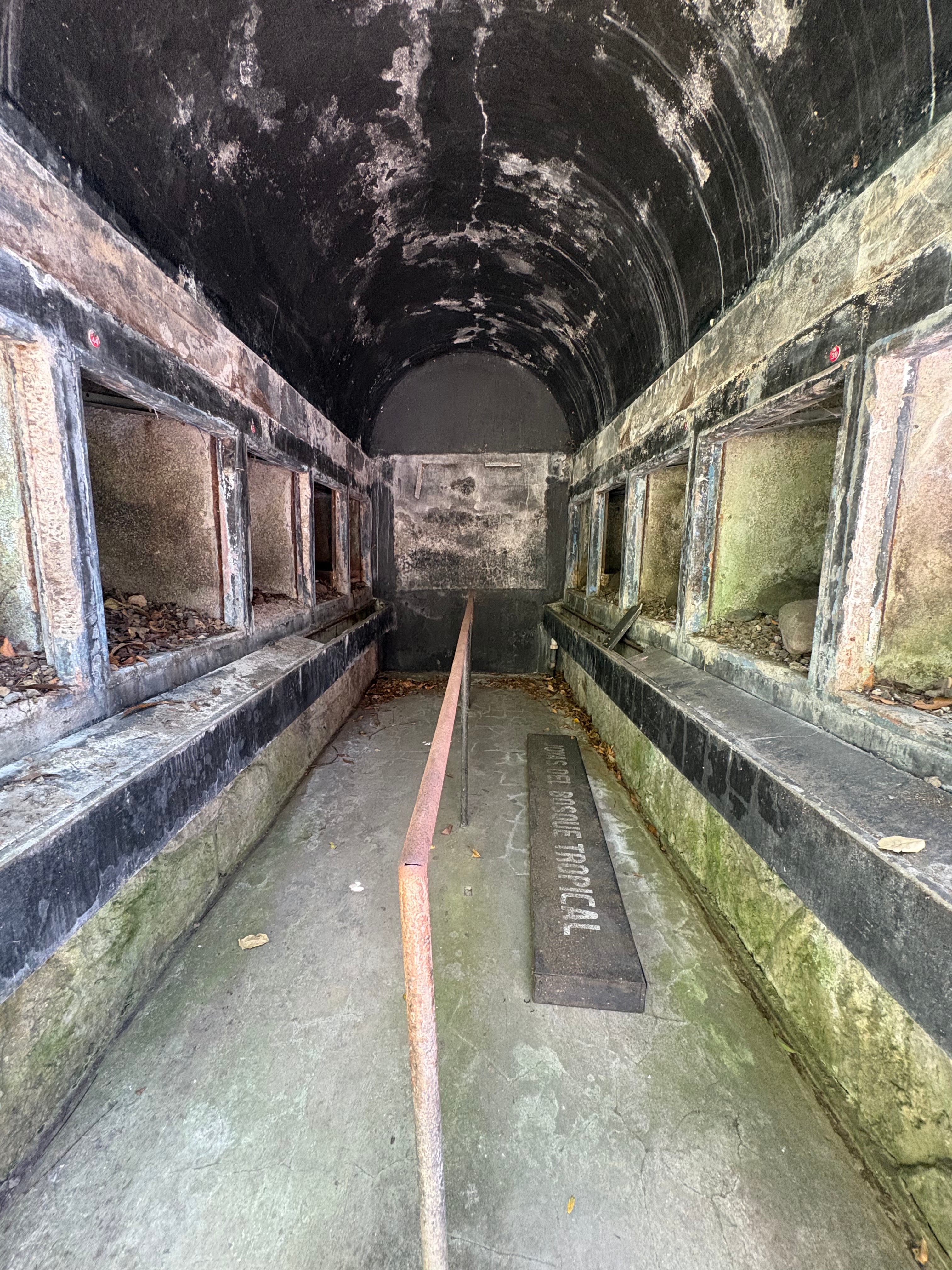 Simón Bolívar EXCLUSIVO VIVA