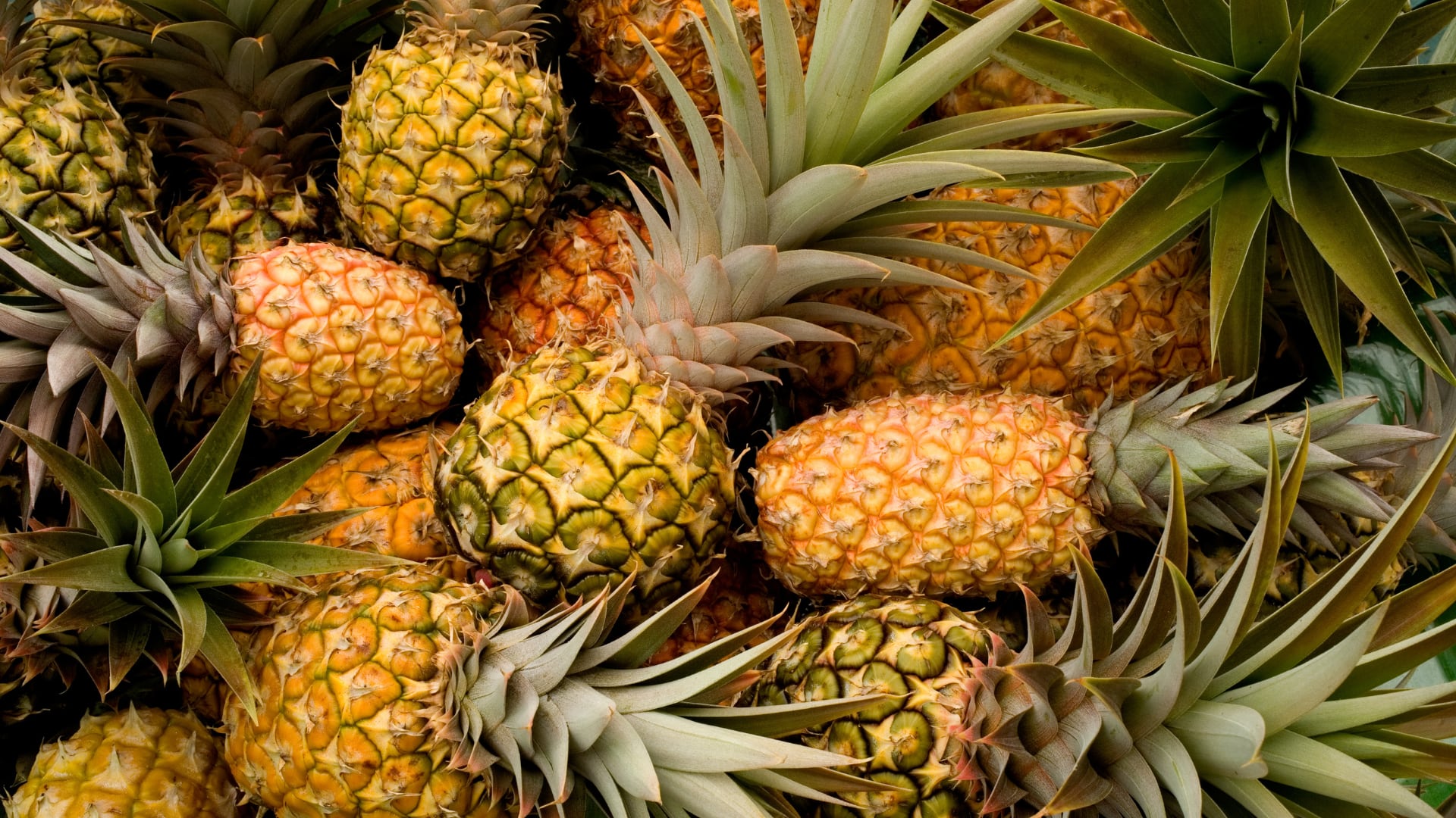 La piña ofrece beneficios digestivos, antiinflamatorios y estéticos gracias a su contenido de bromelina, vitaminas y agua.