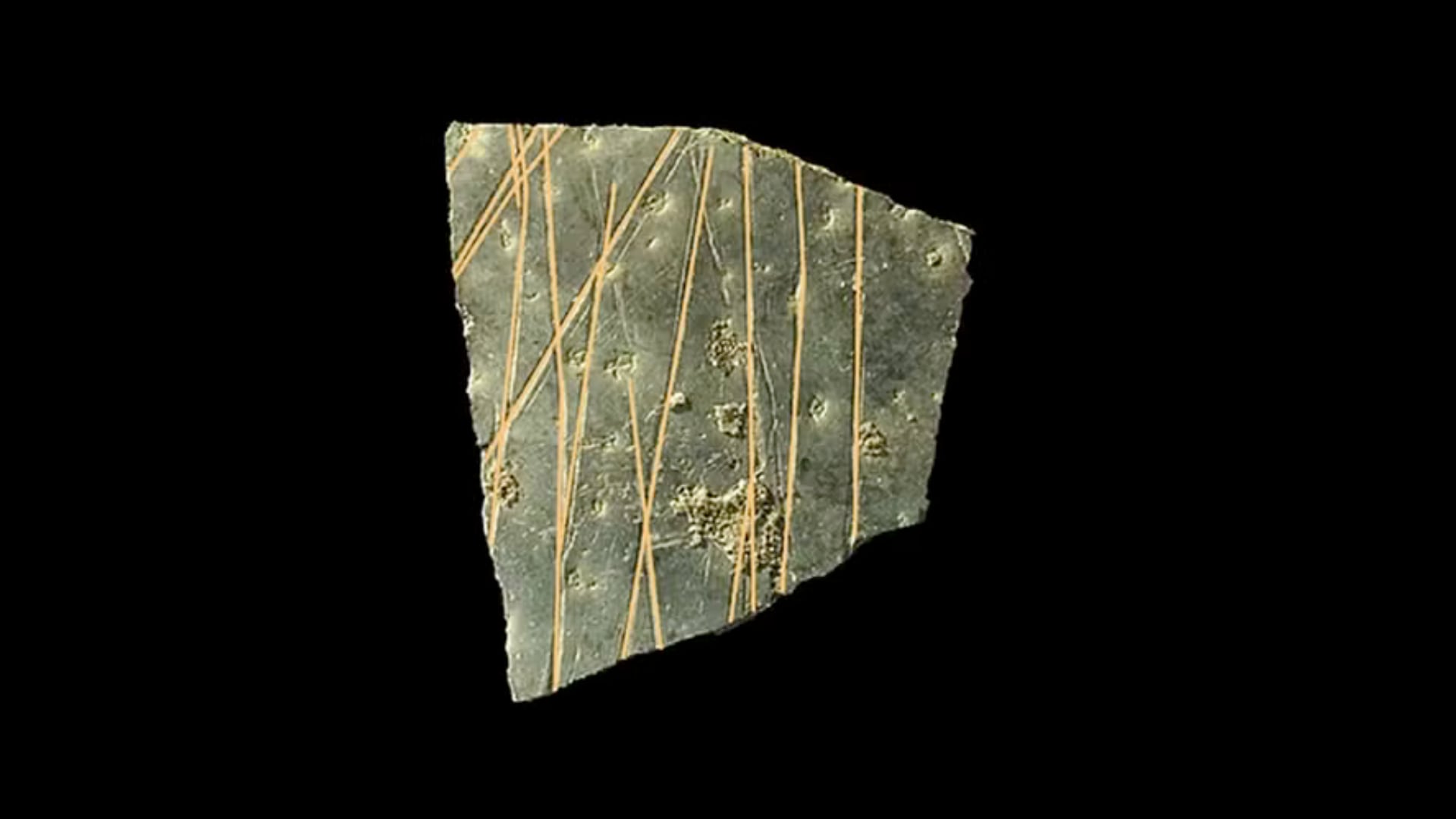 Científicos identificaron organización geométrica sistemática en cáscaras usadas como recipientes hace 60.000 años.