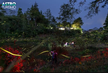 Categoría Naturaleza Nocturna: Rituales fugaces en Copey (Dota, San José). Adultos y niños disfrutando del hermoso ritual de las luciérnagas en la finca Coyote Senderismo y Aventura. Canon R7/Samyang 12mm - 1 Toma de 10seg ISO 800 F2.0. Tomada el 4/27/2025.