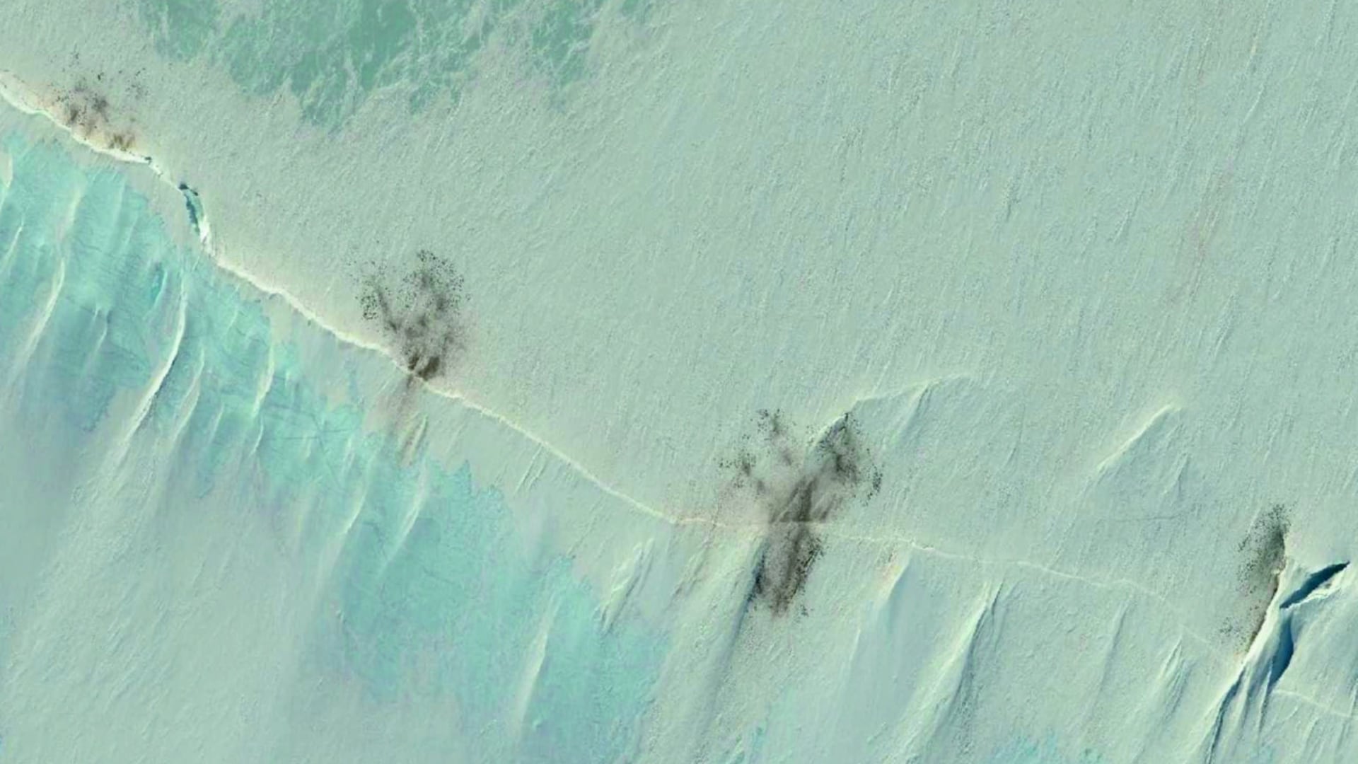 La reducción del hielo en la Antártida obligó a pingüinos emperador a agruparse en espacios mínimos durante la muda anual.